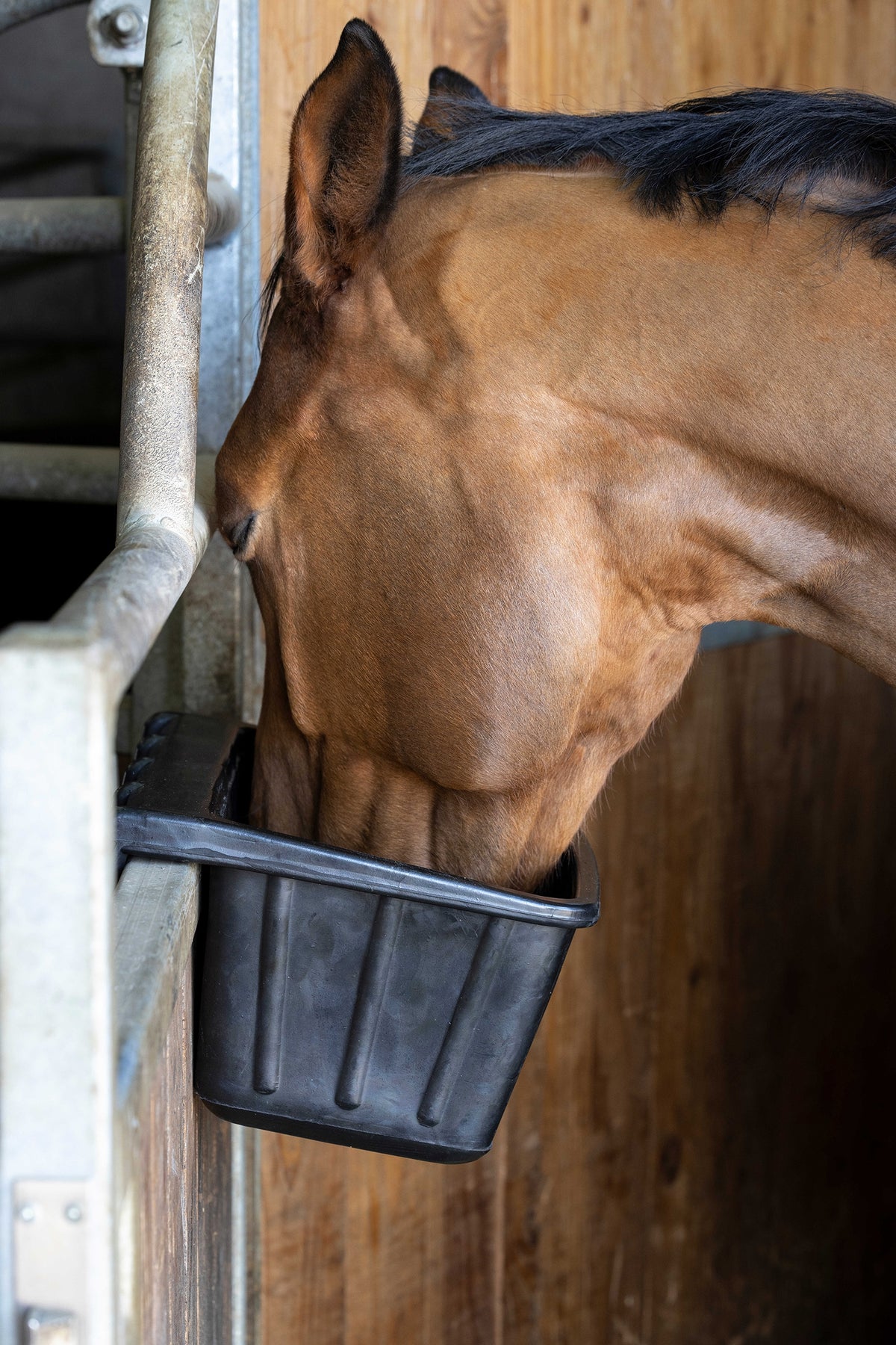 HIPPOTONIC Rubber Door Manger, 14 L Horse Feeders & Waterers