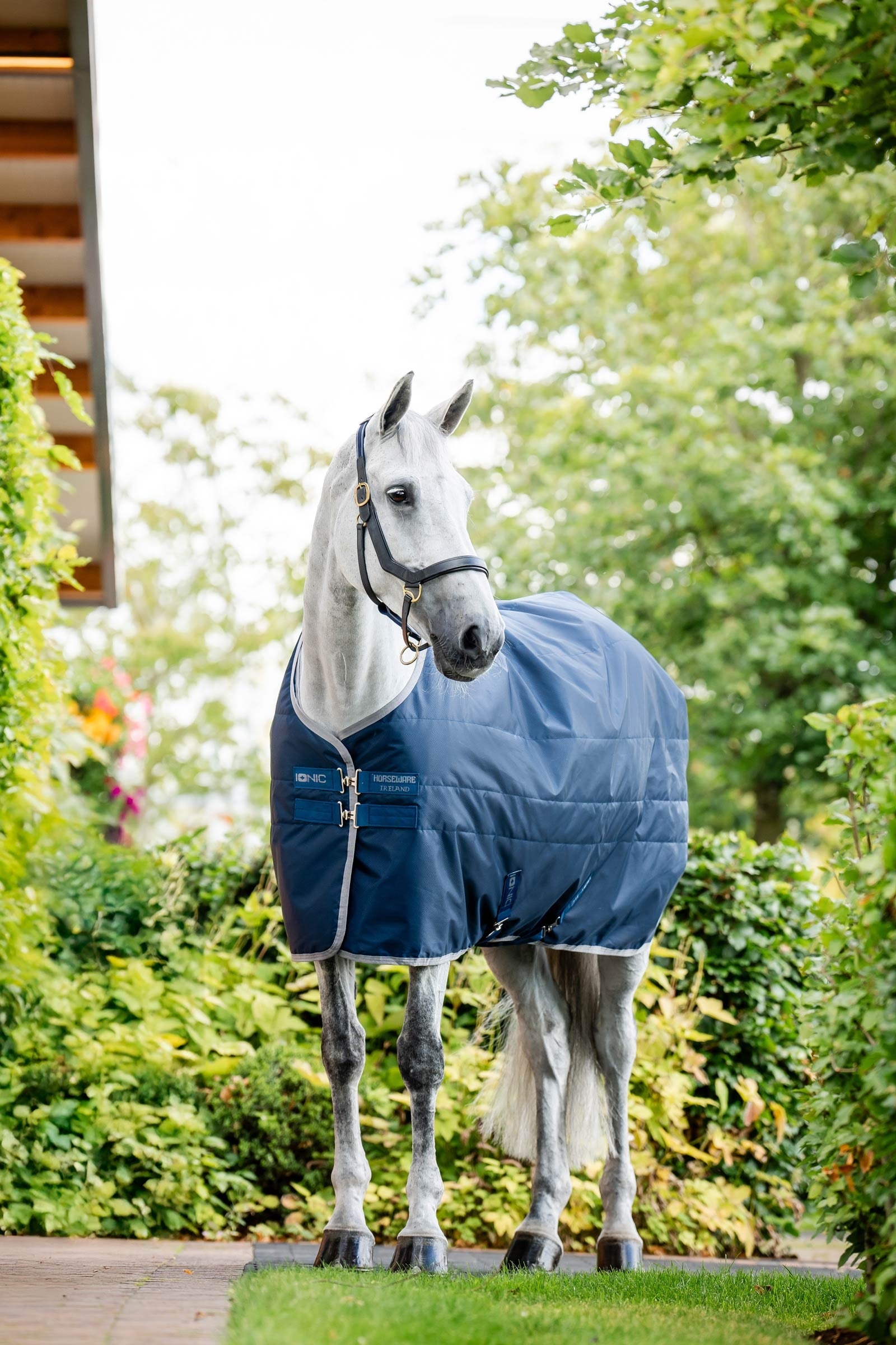 Horseware Ionic Therapy Talliloimi, 50g Loimet