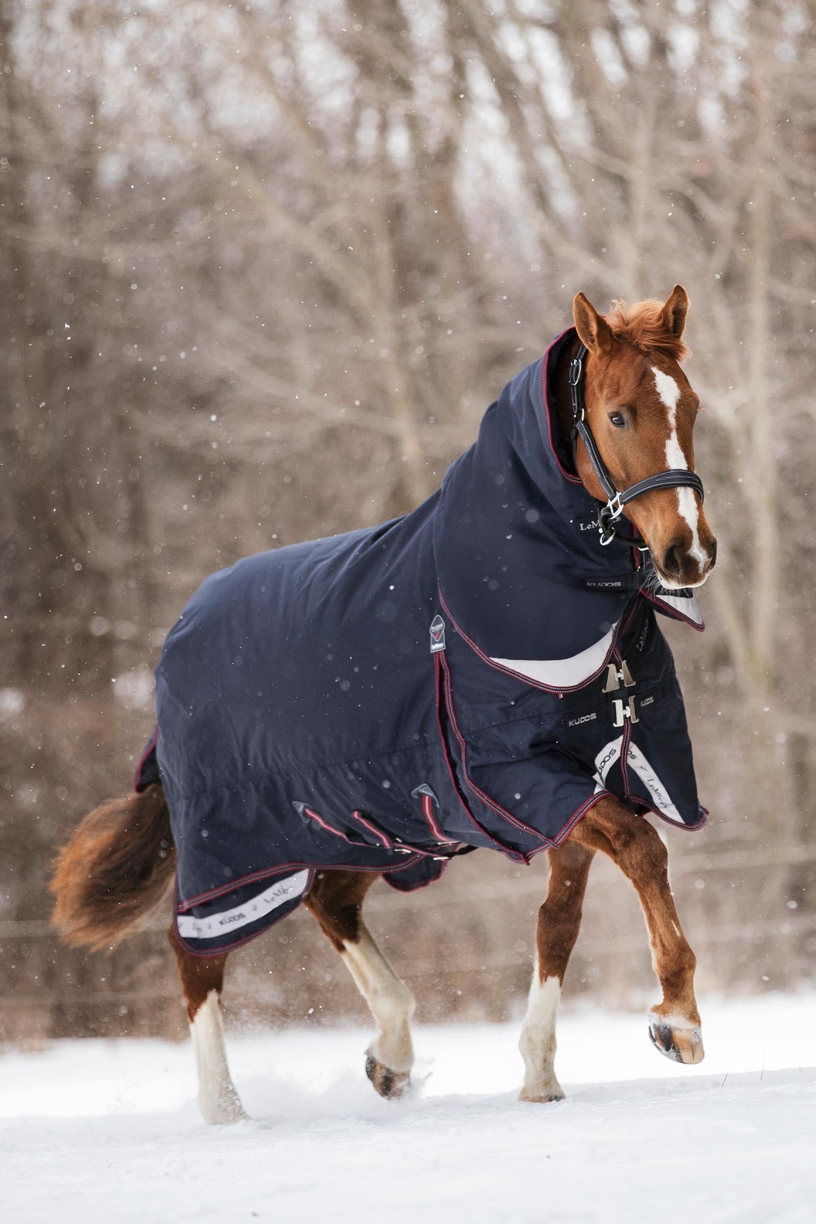 LeMieux Kudos Turnout Rug, 200 g Horse Rugs