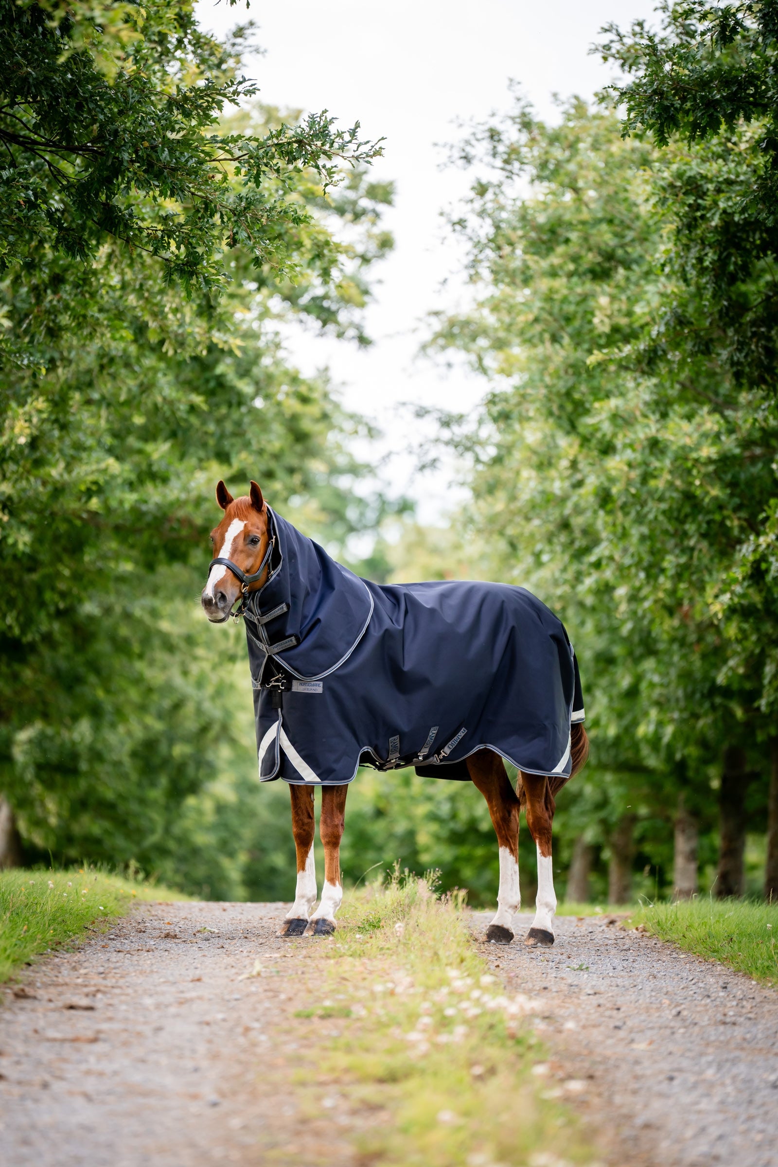Horseware Rambo 1680D Plus Vario Layer ulkoloimi, 250 g Loimet