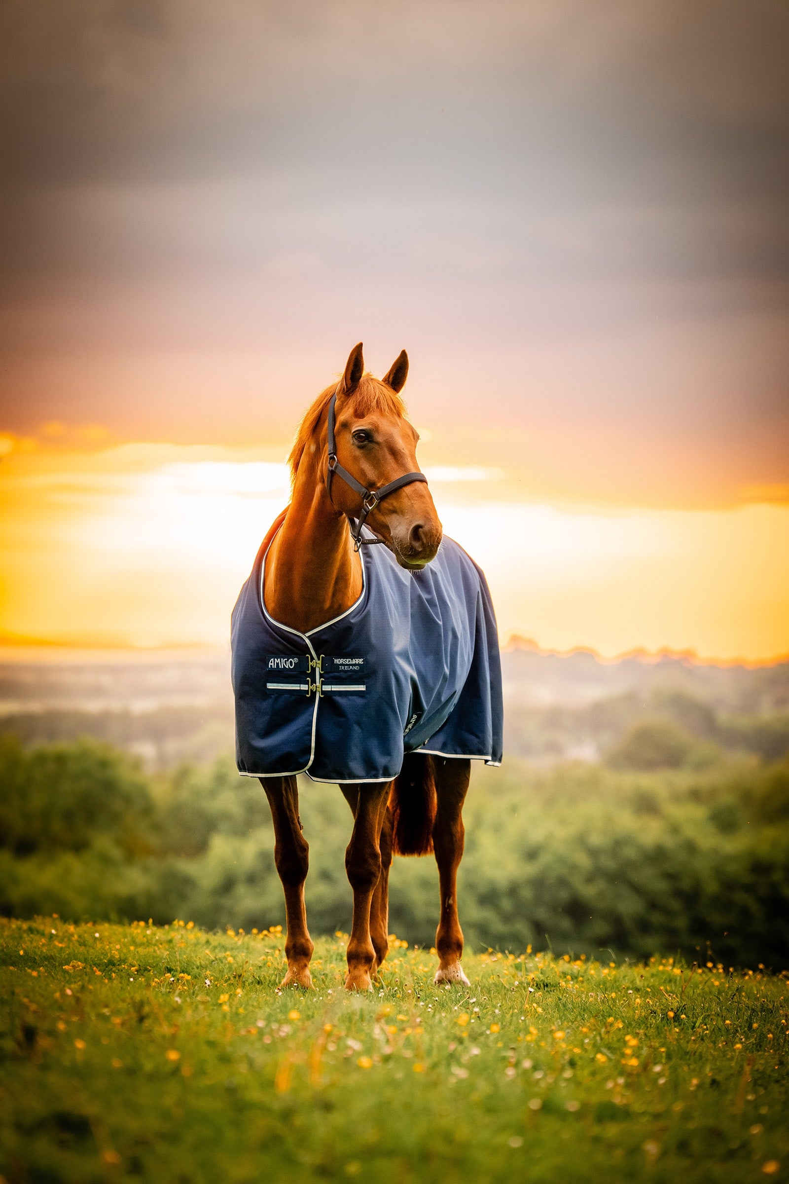 Horseware Amigo Ripstop 900D ulkoloimi fleecevuorella, 50 g Loimet