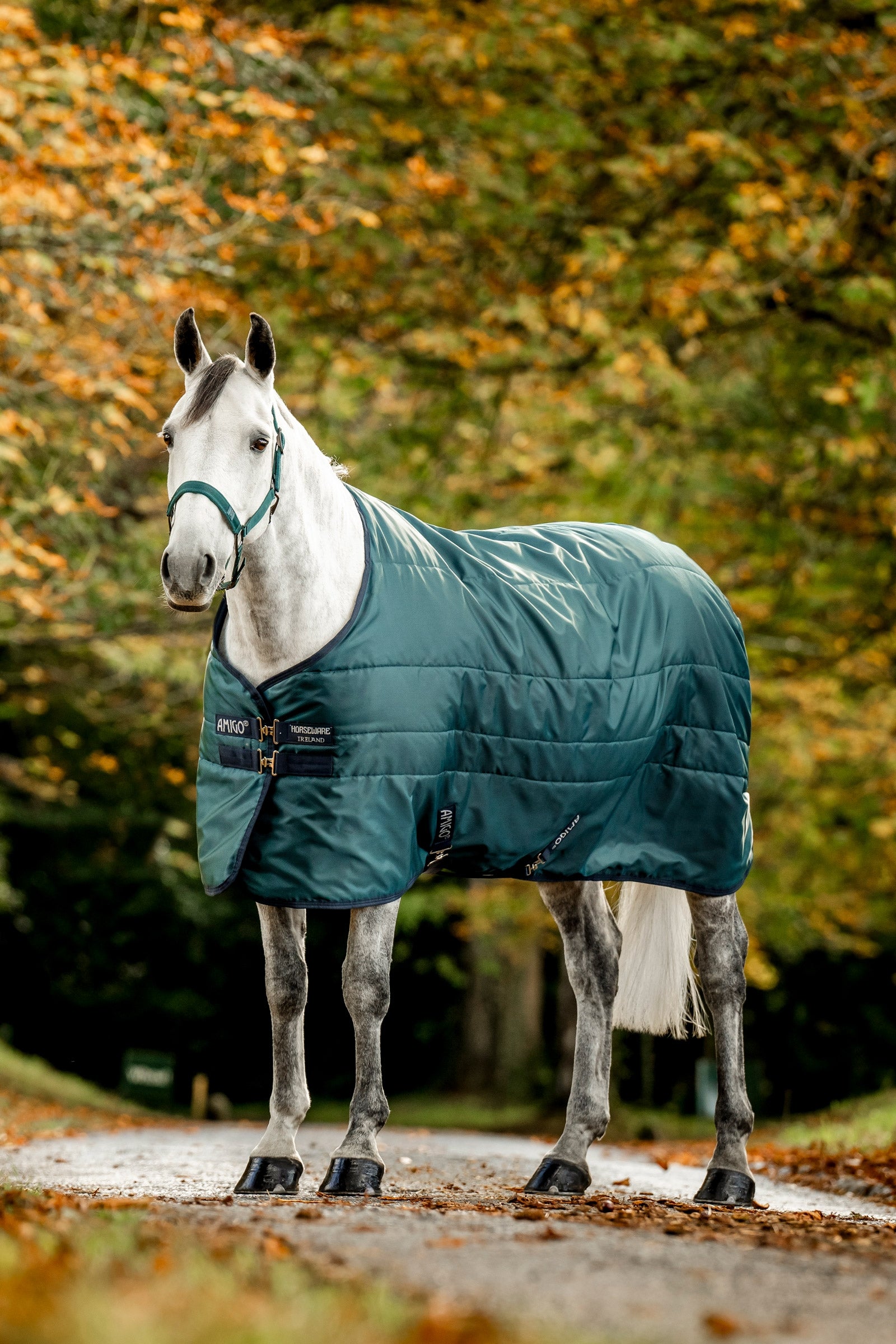 Horseware Amigo Ripstop Insulator Talliloimi, 50g Loimet