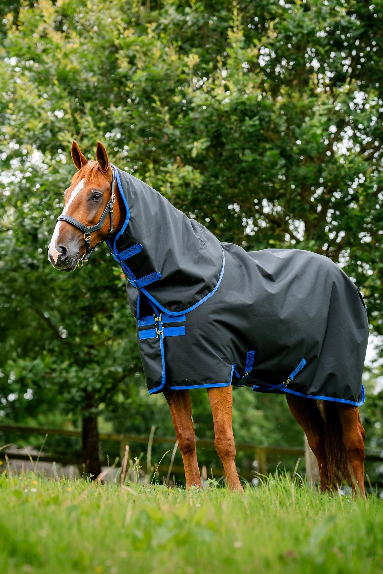 Horseware Amigo Ripstop 900D Plus ulkoloimi, 200 g Loimet