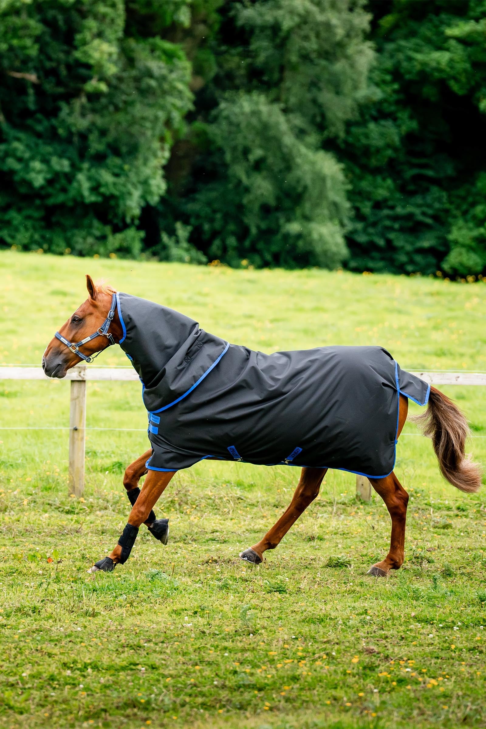 Horseware Amigo Ripstop 900D Plus Turnout, 200g Horse Rugs