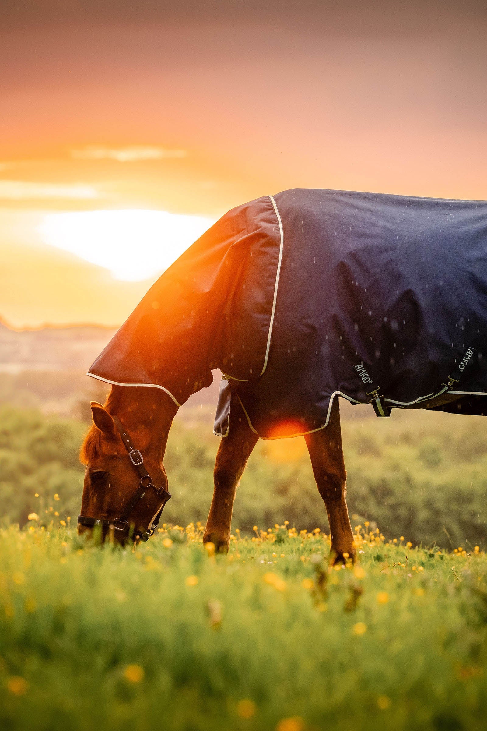 Horseware Amigo Ripstop 900D Plus ulkoloimi, 200 g Loimet