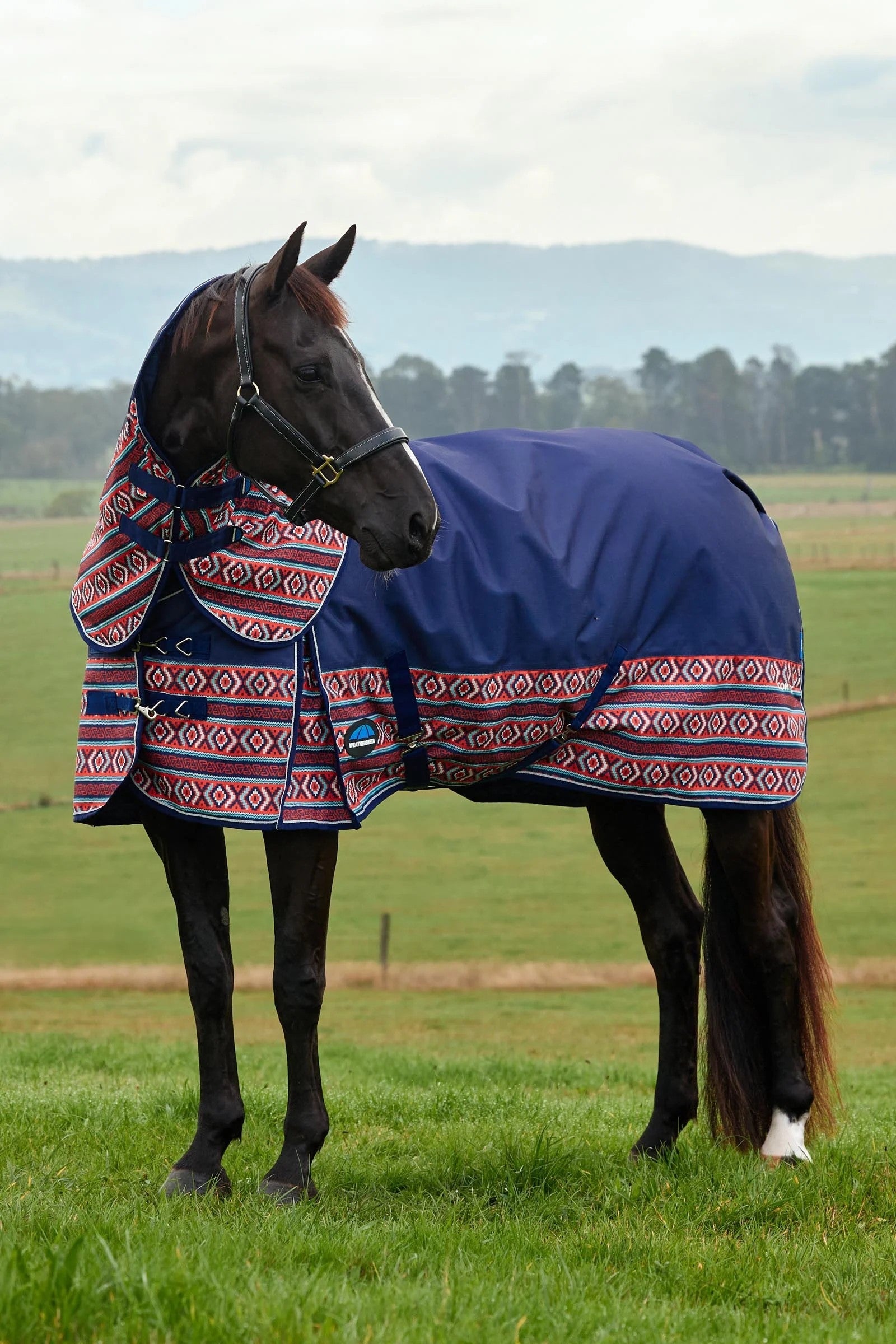 Weatherbeeta Comfitec Legend Turnout Rug Detach-A-Neck 220g Loimet