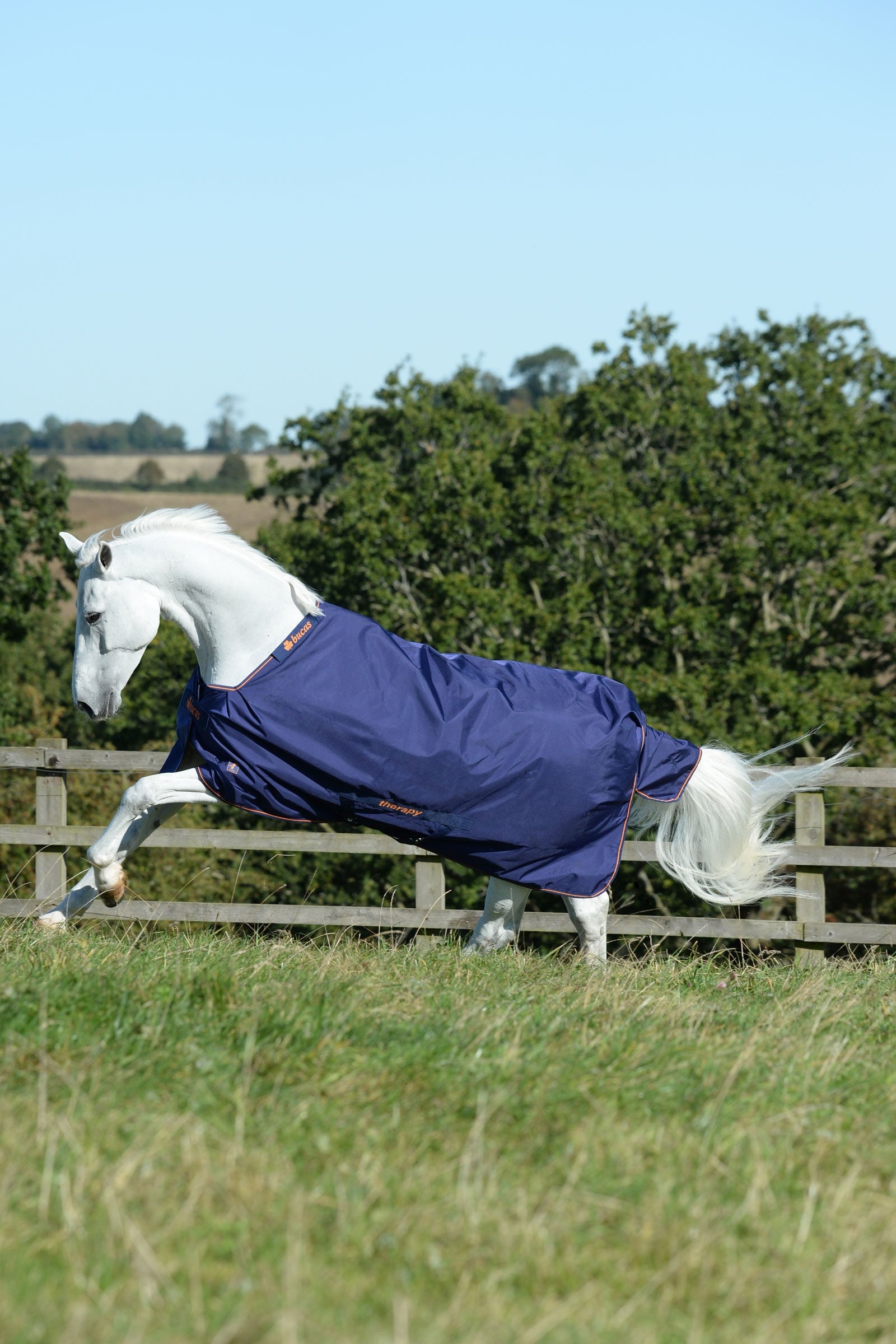 Bucas Therapy Turnout Rug, 150g Horse Rugs