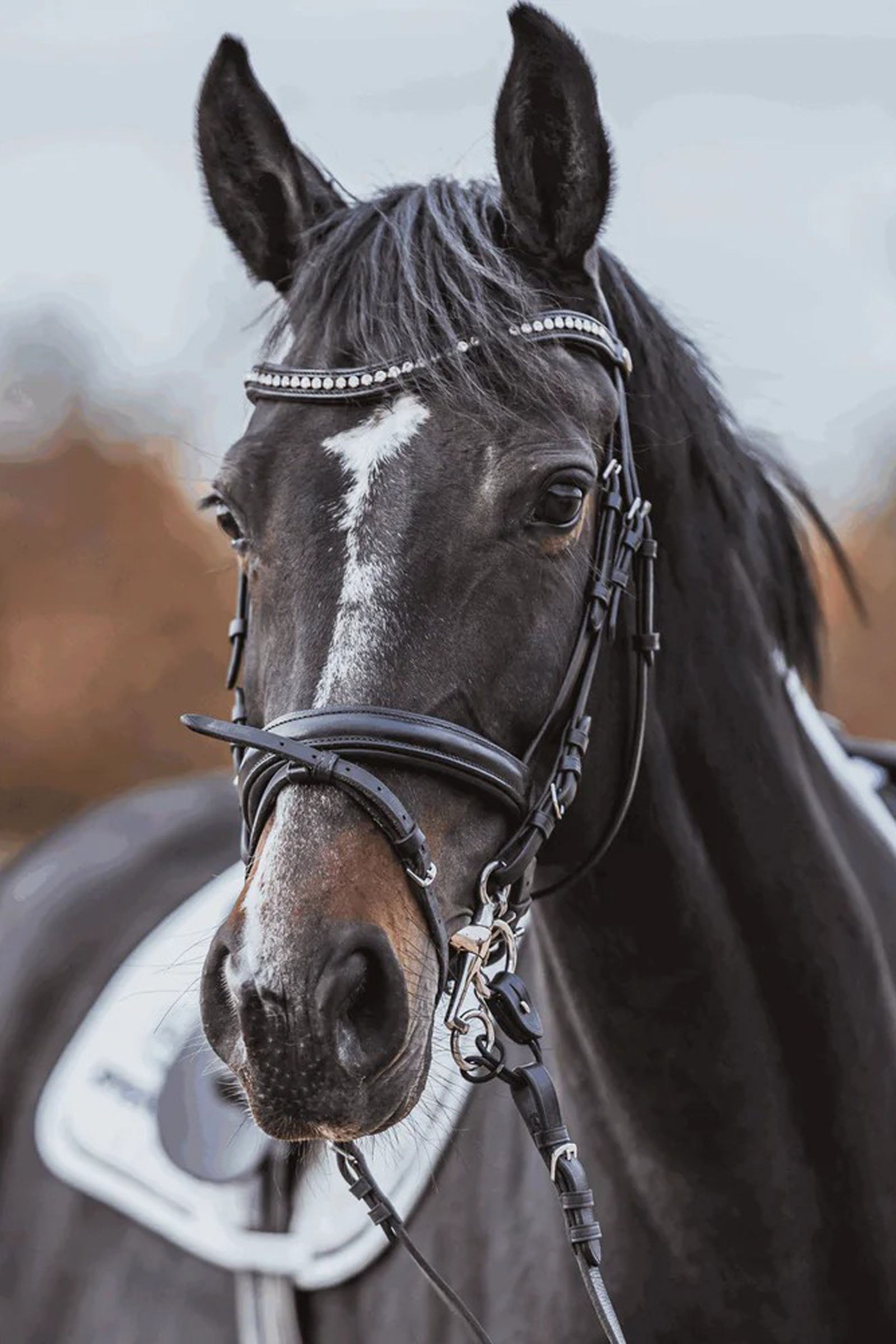 Sprenger Dynamic RS Pelham, Sensogan, double jointed, 16 mm Horse Bits