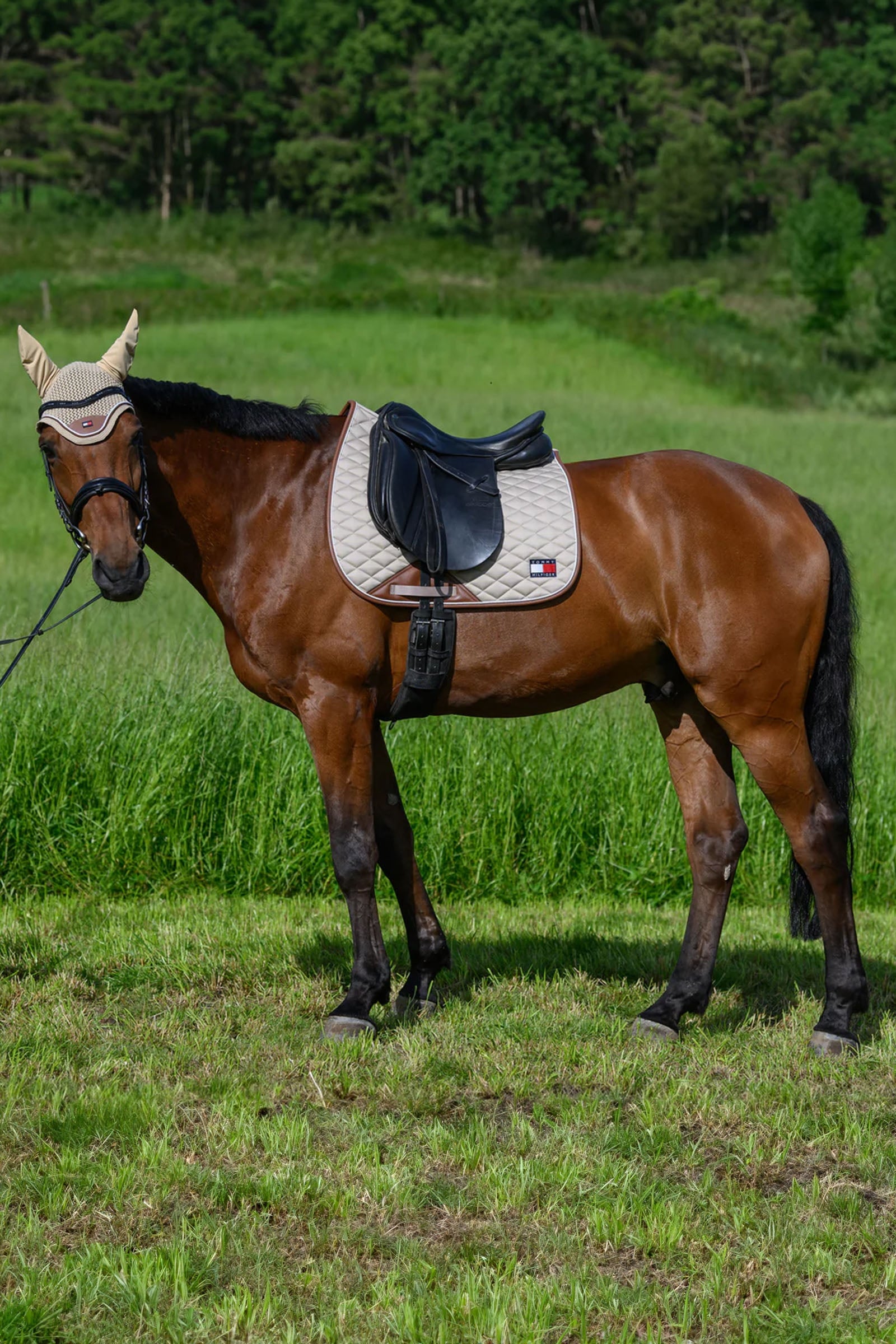 Tommy Hilfiger Equestrian Princeton Dressage Saddlepad Saddle Pads
