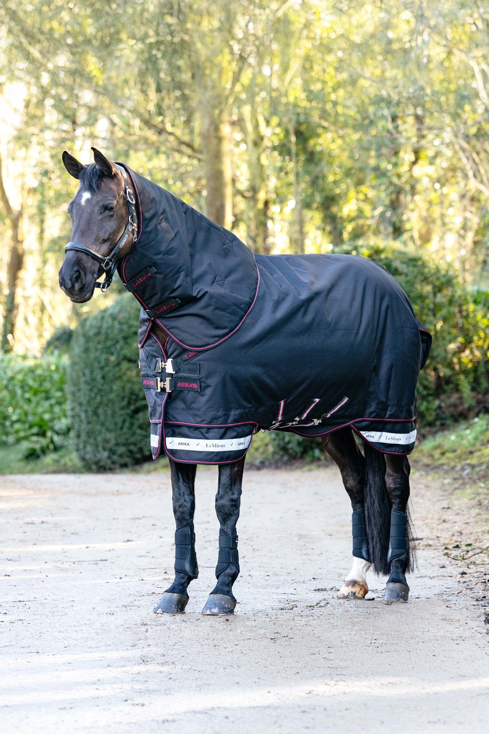 LeMieux Arika Storm-Tek ulkoloimi irrotettavalla kaulaosalla, 100 g Loimet