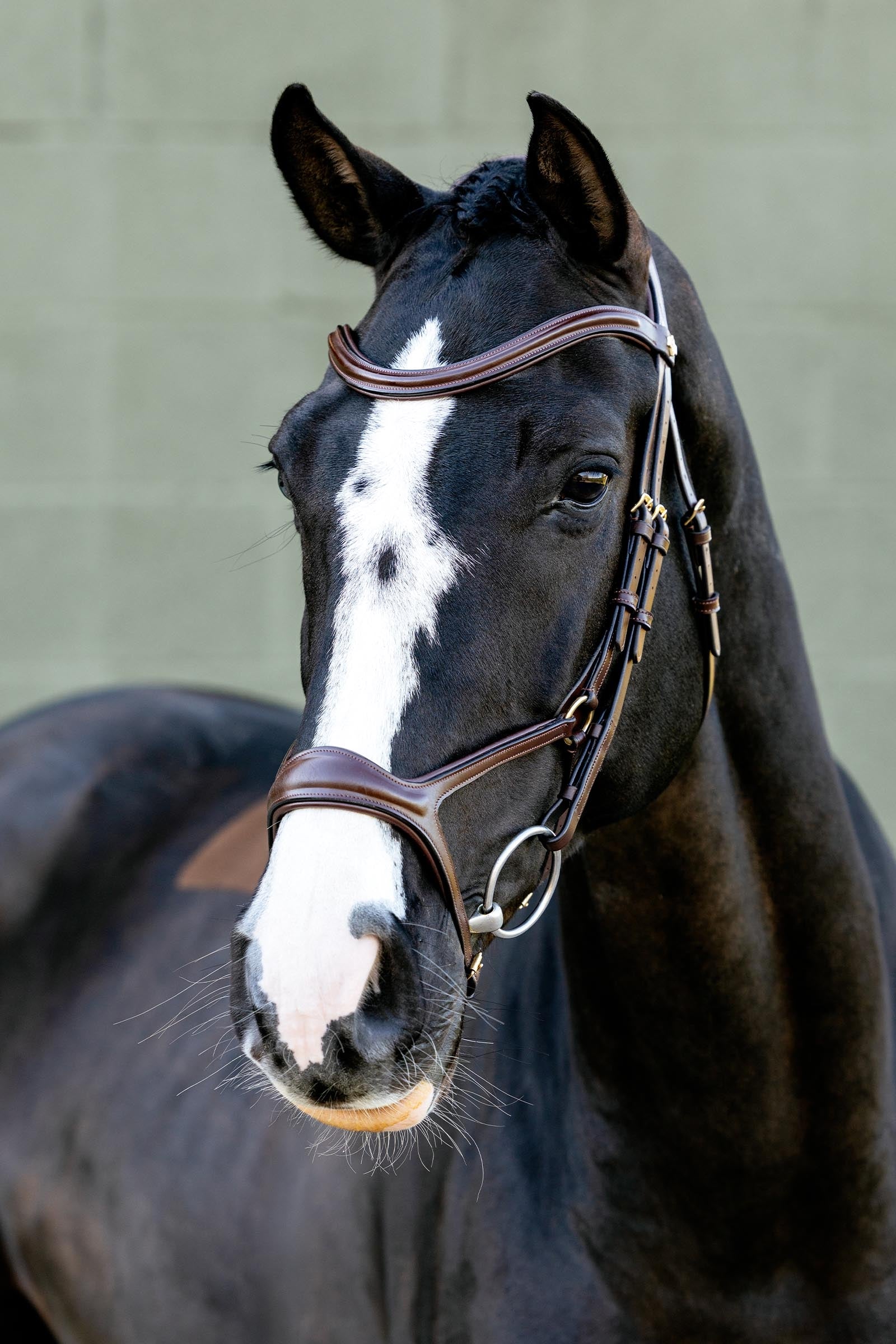 LeMieux Kudos Sport Bridle Bridles & Reins