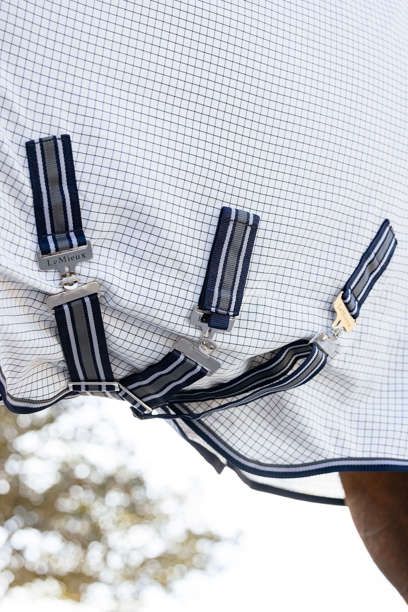 LeMieux Arika 450D Turnout Rug With Detachable Neck, 0g Horse Rugs