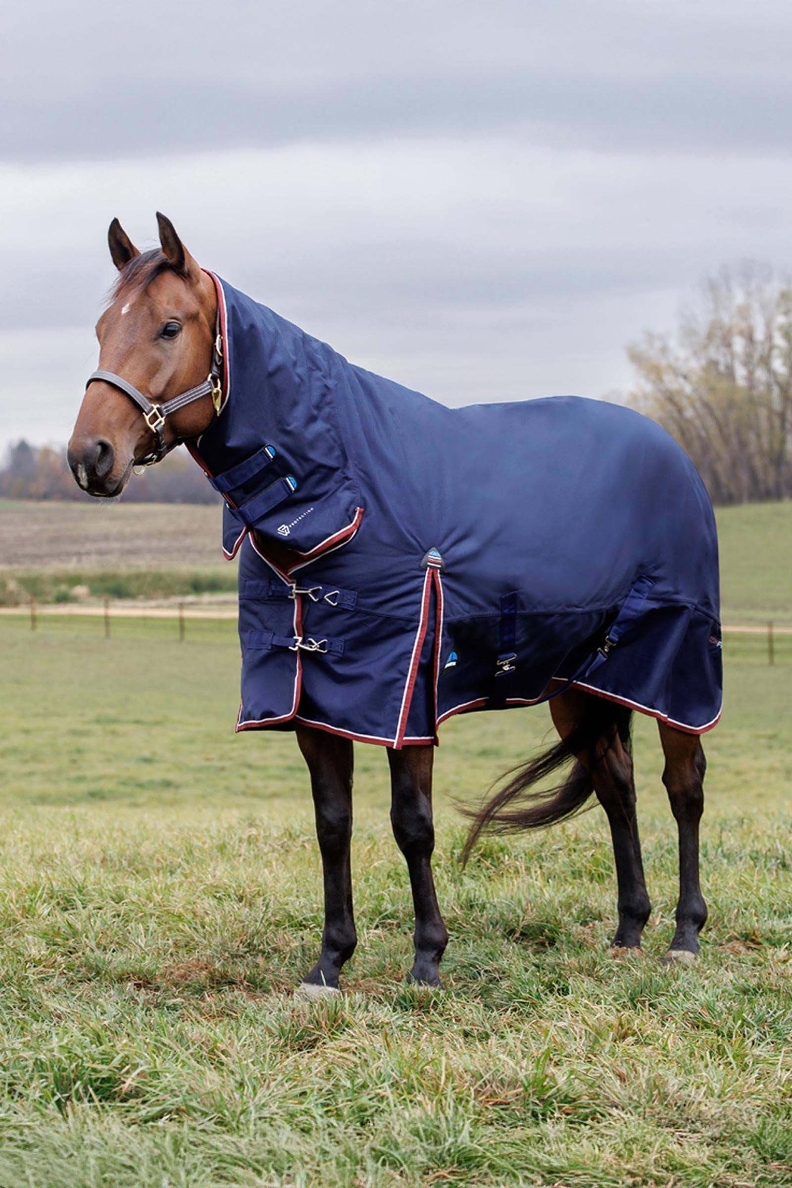 Weatherbeeta Comfitec Essential Turnout Rug Combo 360g Horse Rugs