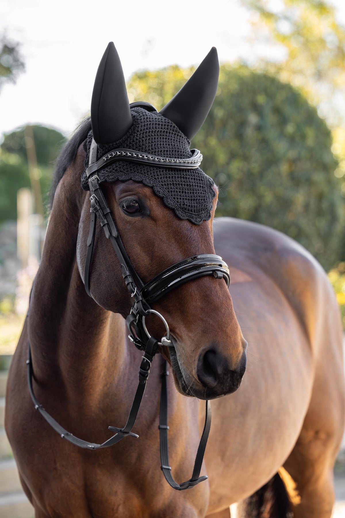 Covalliero FW26 Soundless Fly Mask Saddle Pads