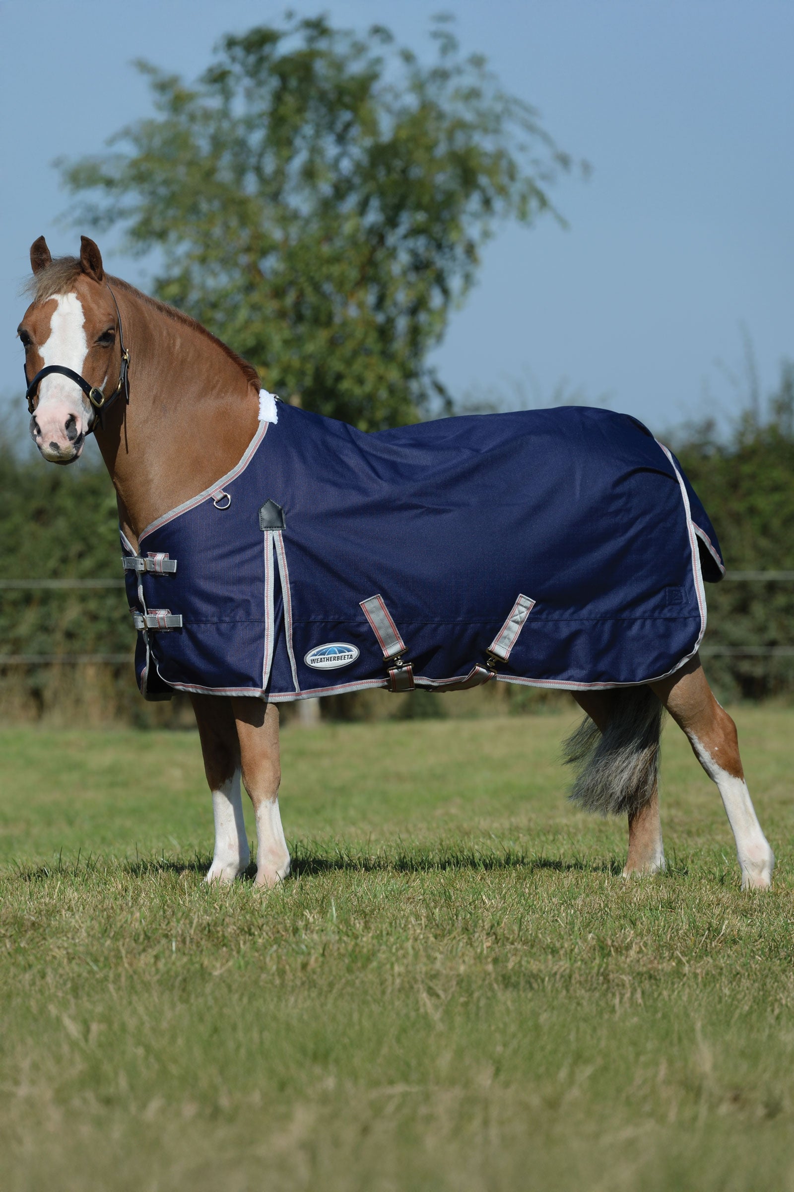 Weatherbeeta Comfitec Essential Plus Turnout Rug, 50g Horse Rugs