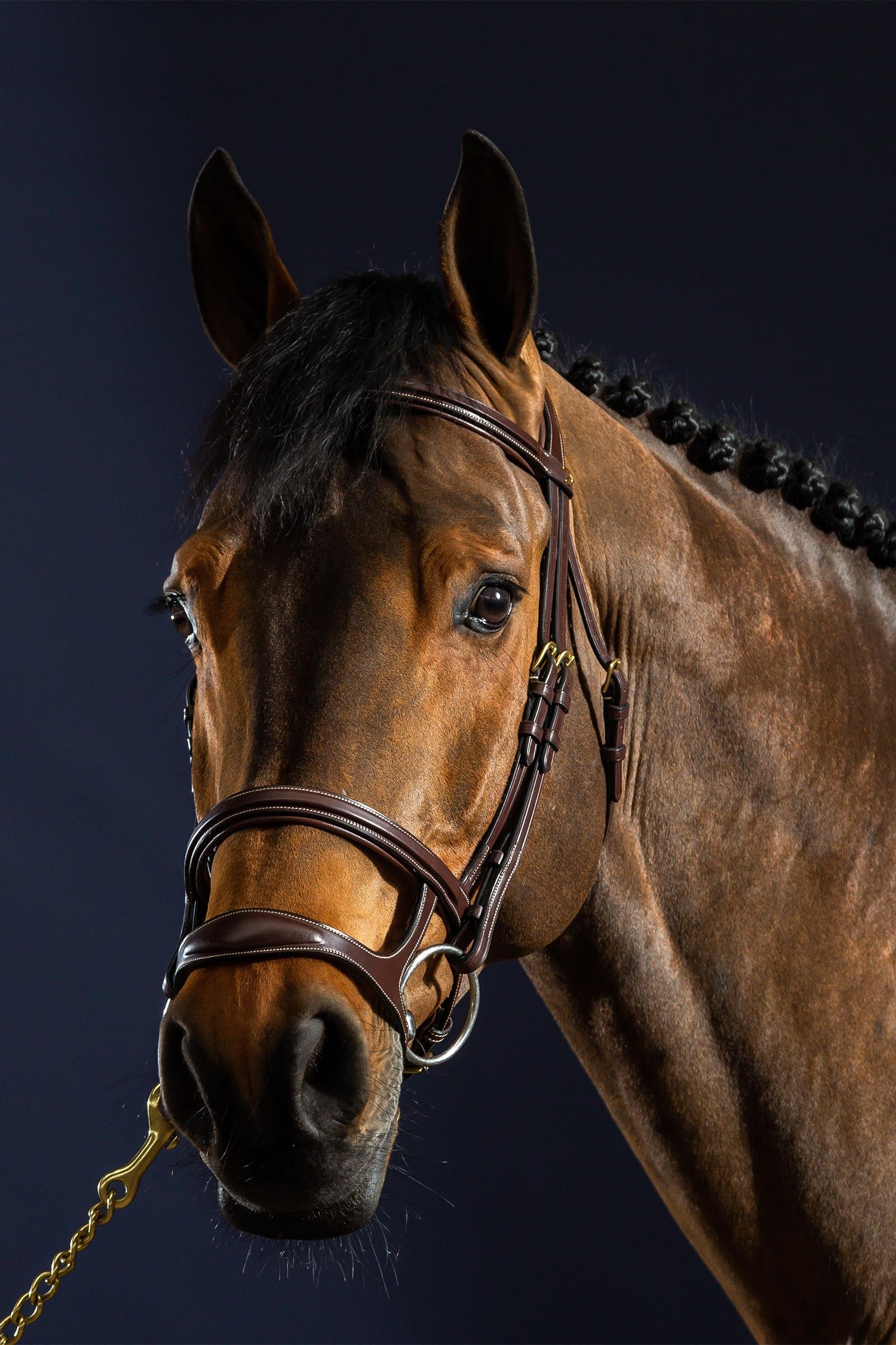 Dy'on D Collection Double Noseband Bridle Bridles & Reins