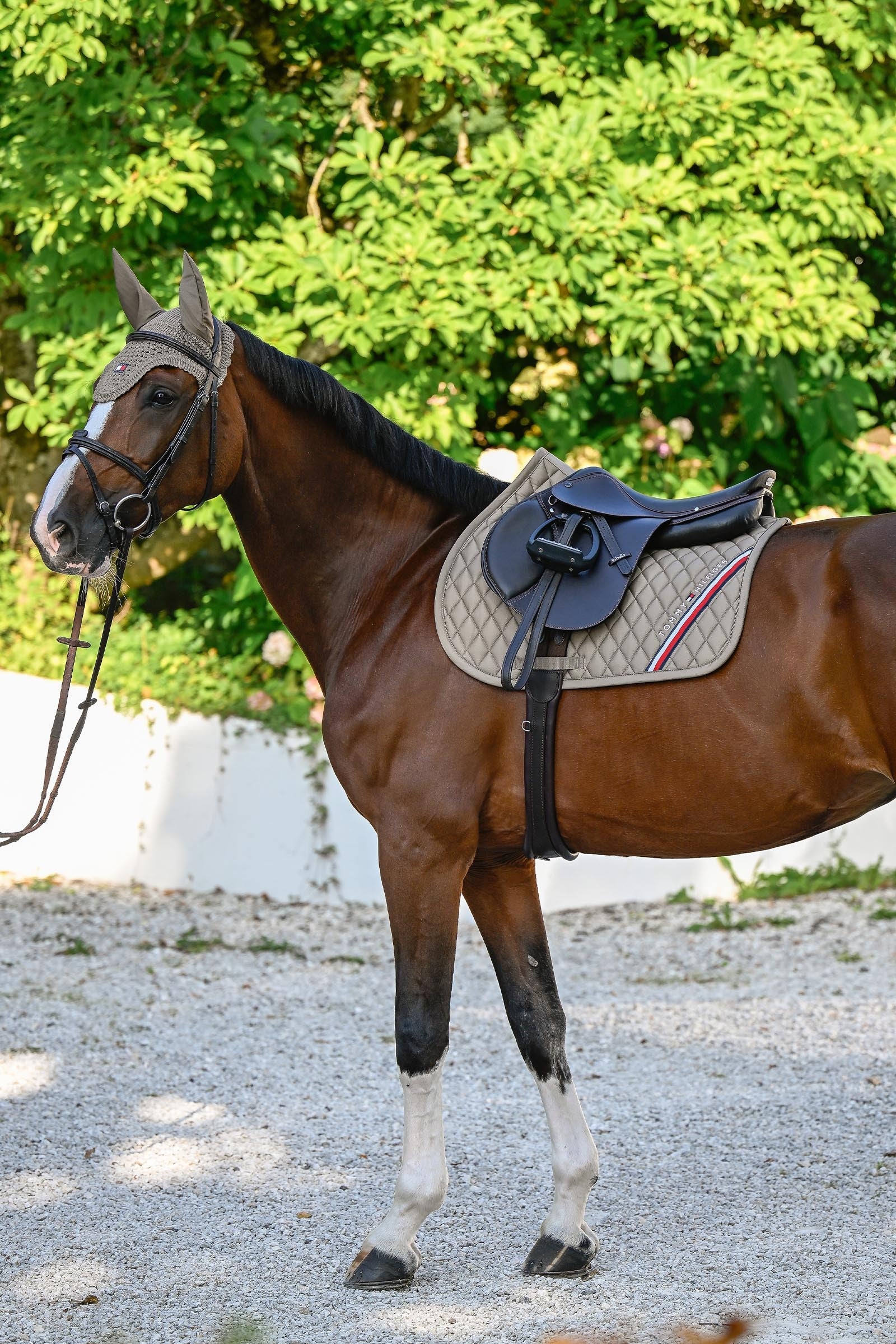 Tommy Hilfiger Equestrian Stanford Jumping Saddlepad Saddle Pads