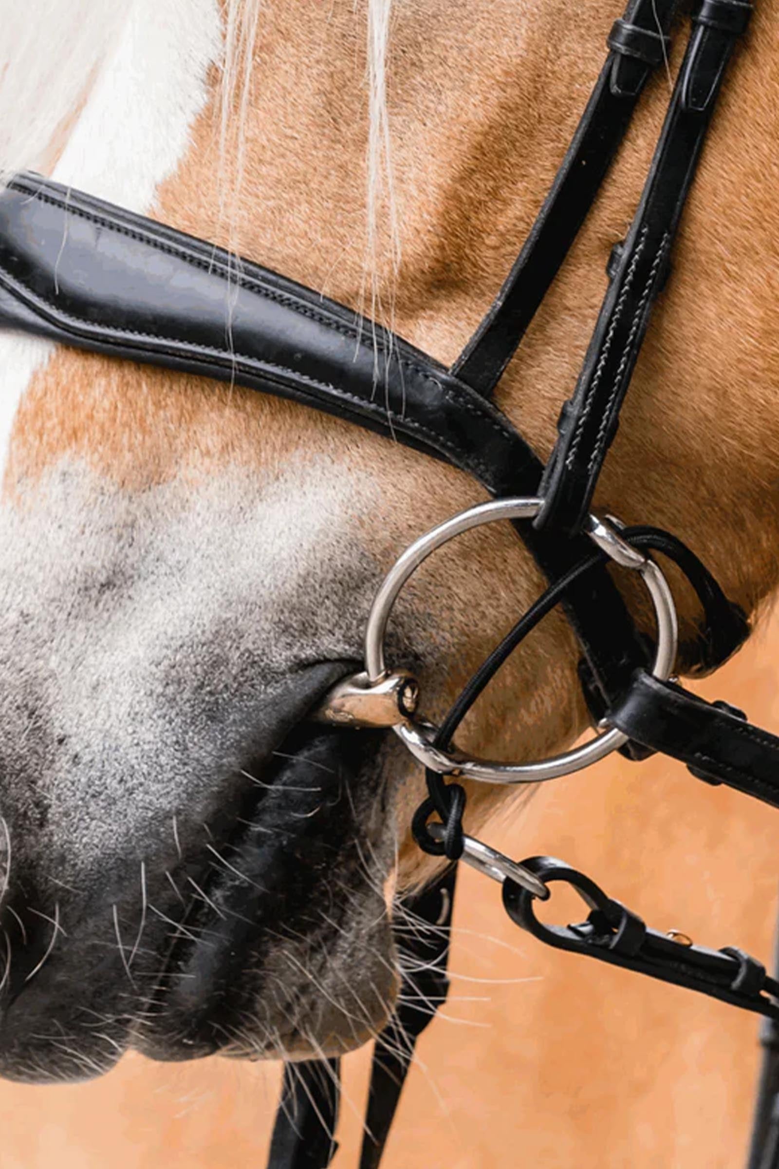 Sprenger Curbgag Rope, Leather Horse Bits