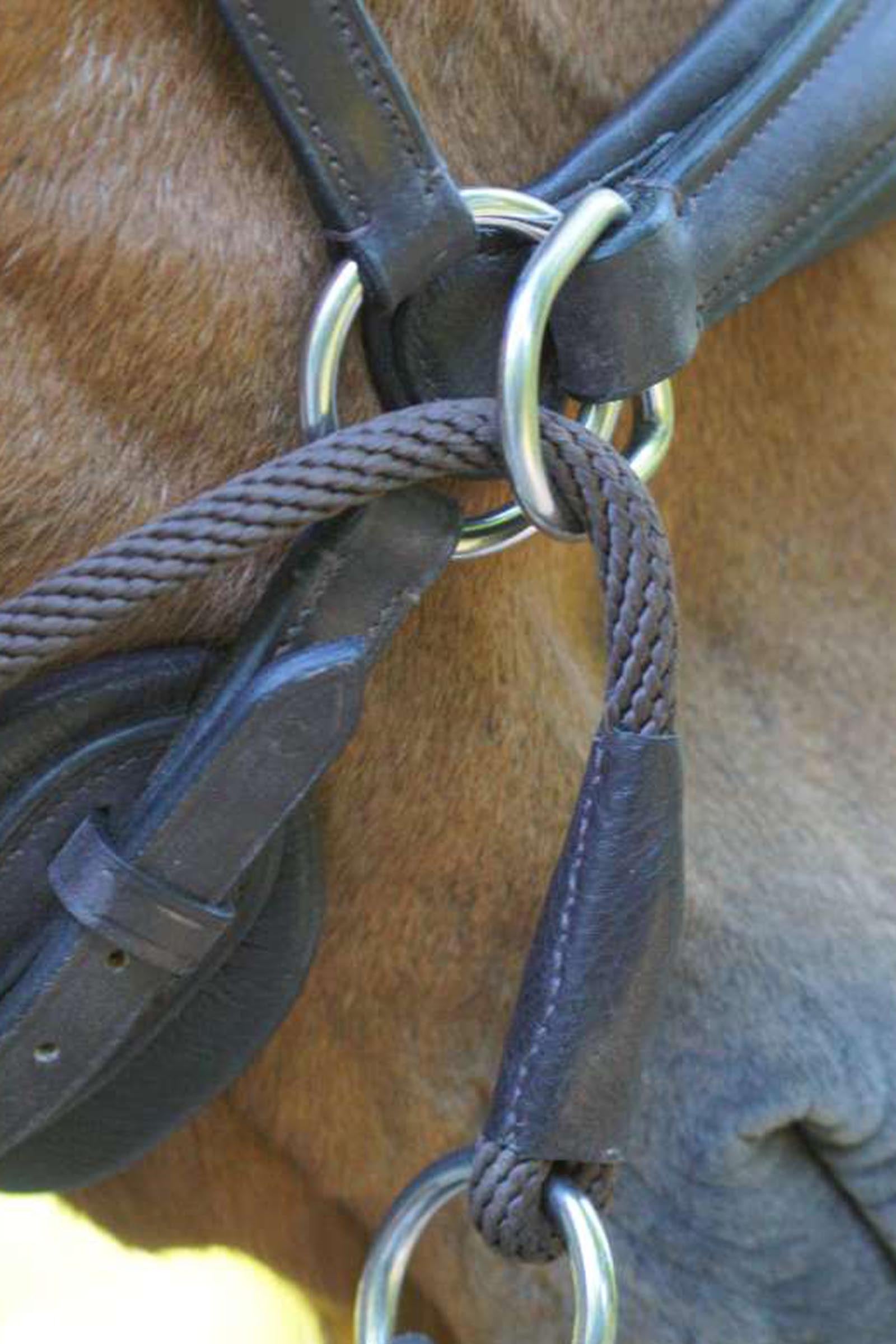 Kavalkade Cross Light Bitless Bridle With English Noseband Bridles & Reins