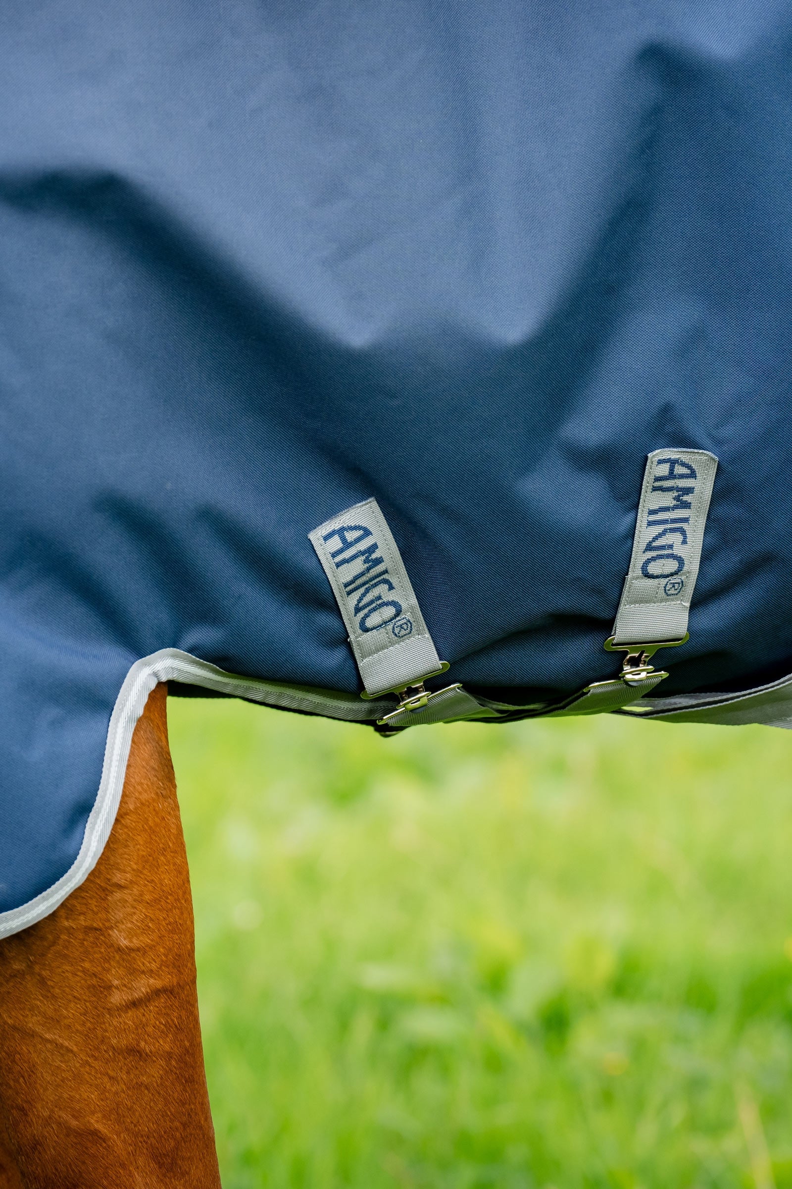 Horseware Amigo 1200D Turnout Rug, 250 g Horse Rugs
