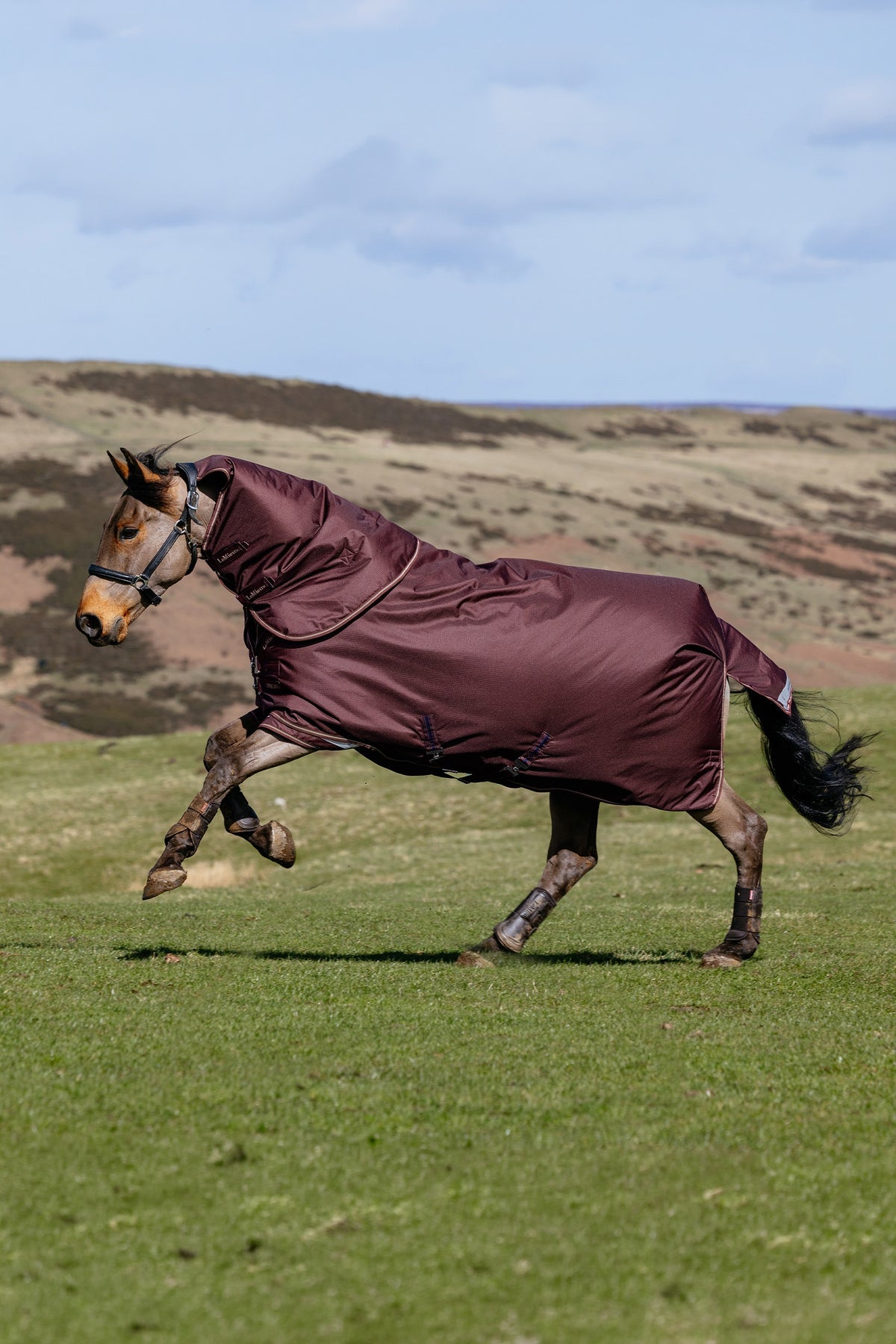 LeMieux Arika Ripstop Turnout Rug With Detachable Neck, 100 g Horse Rugs