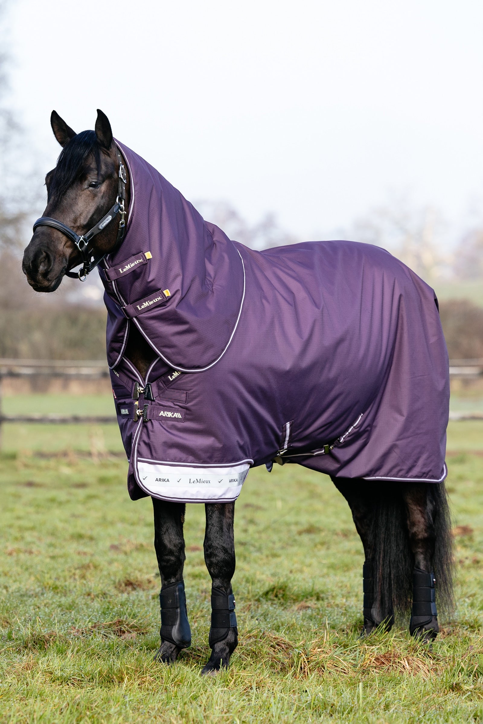 LeMieux Arika Ripstop Turnout Rug With Detachable Neck, 100 g Loimet