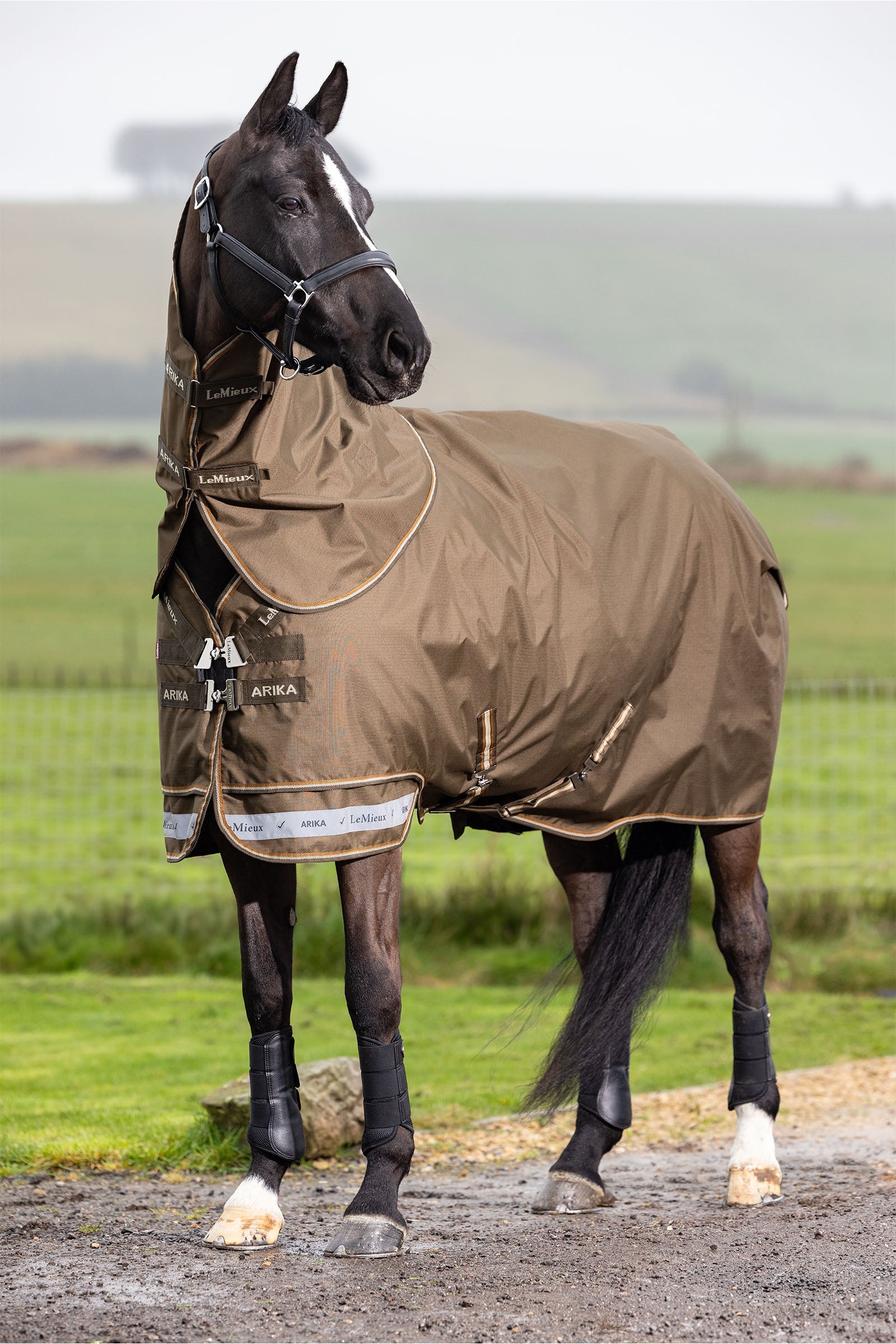 LeMieux Arika Ripstop Turnout Rug With Detachable Neck, 100 g Horse Rugs