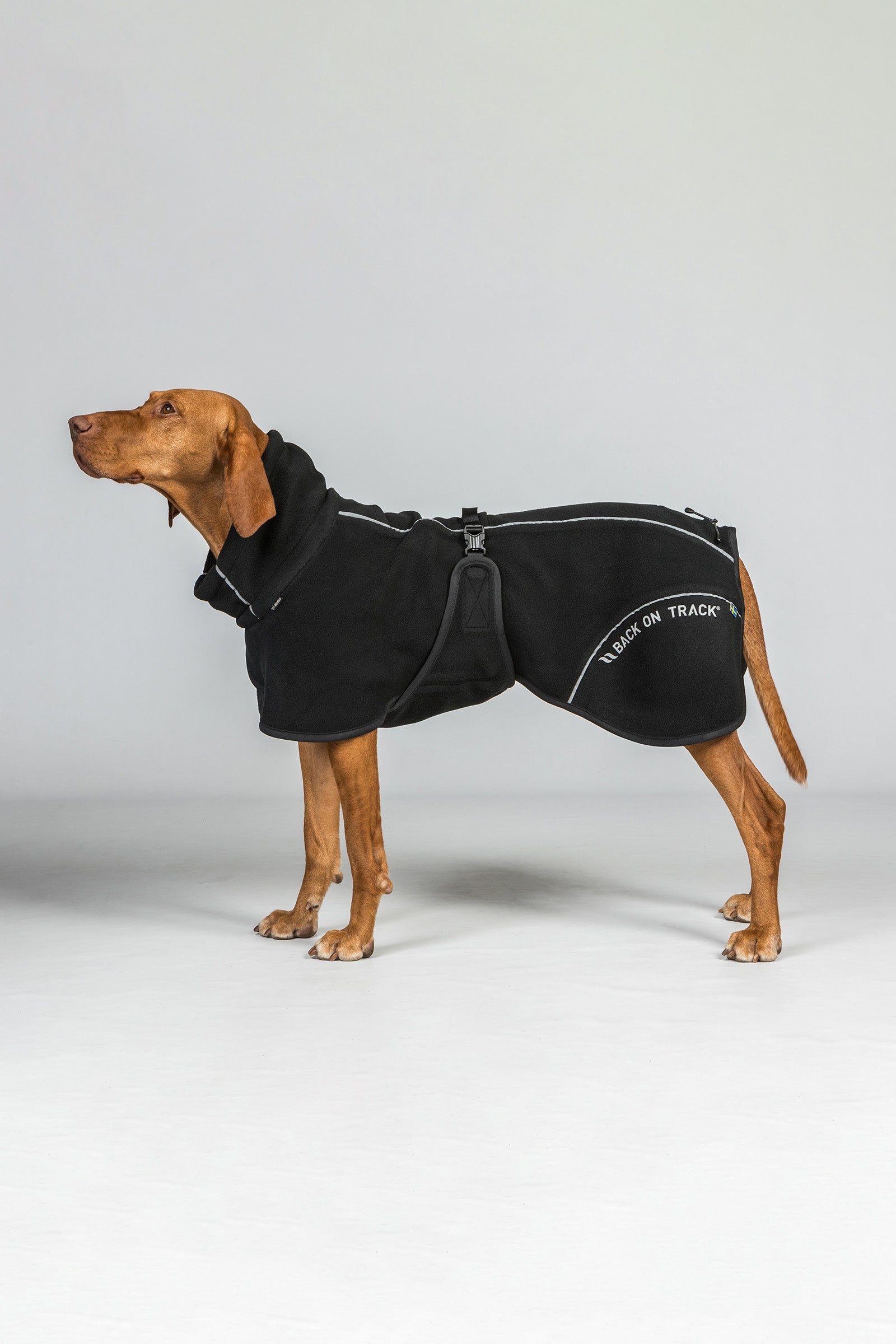 Back on Track Bay Fleece Dog Coat, High Set Tail Dog Accesories