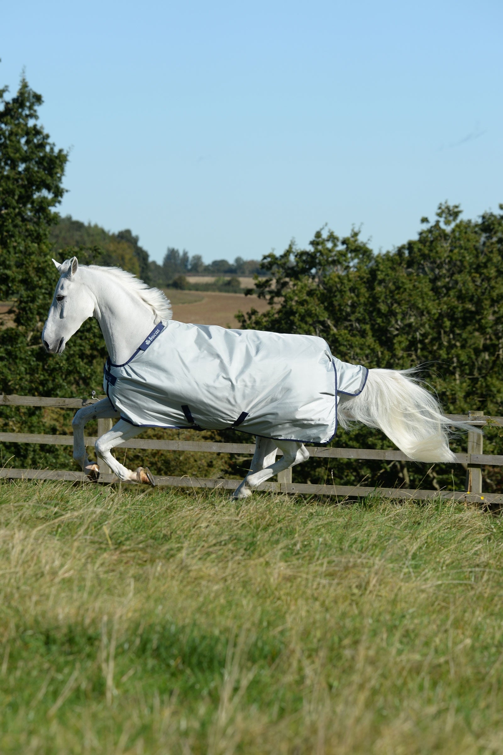 Bucas Power Turnout Light, 0g Horse Rugs