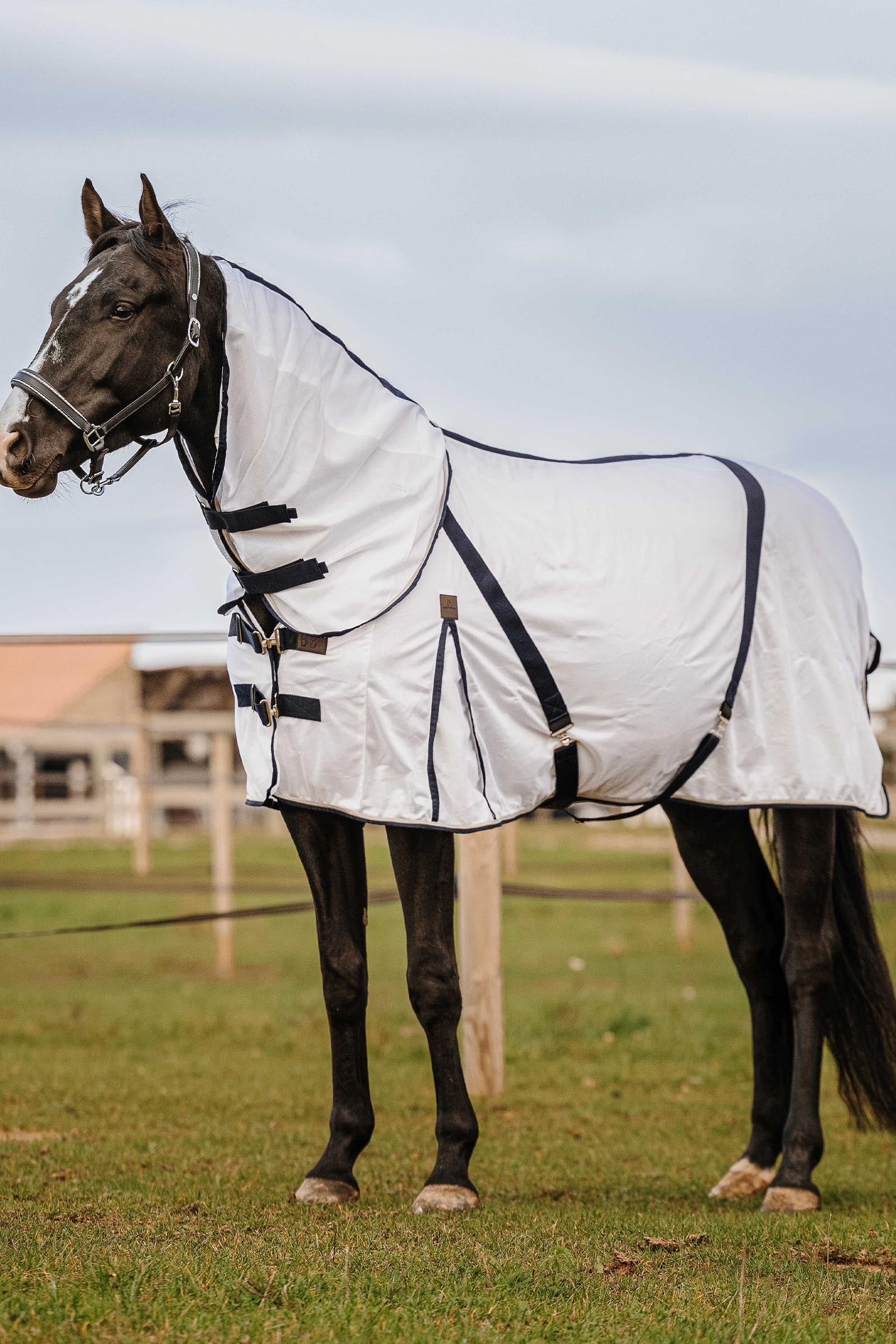 Equi Theme EQUITHÈME Mesh Neck Cover Horse Rugs