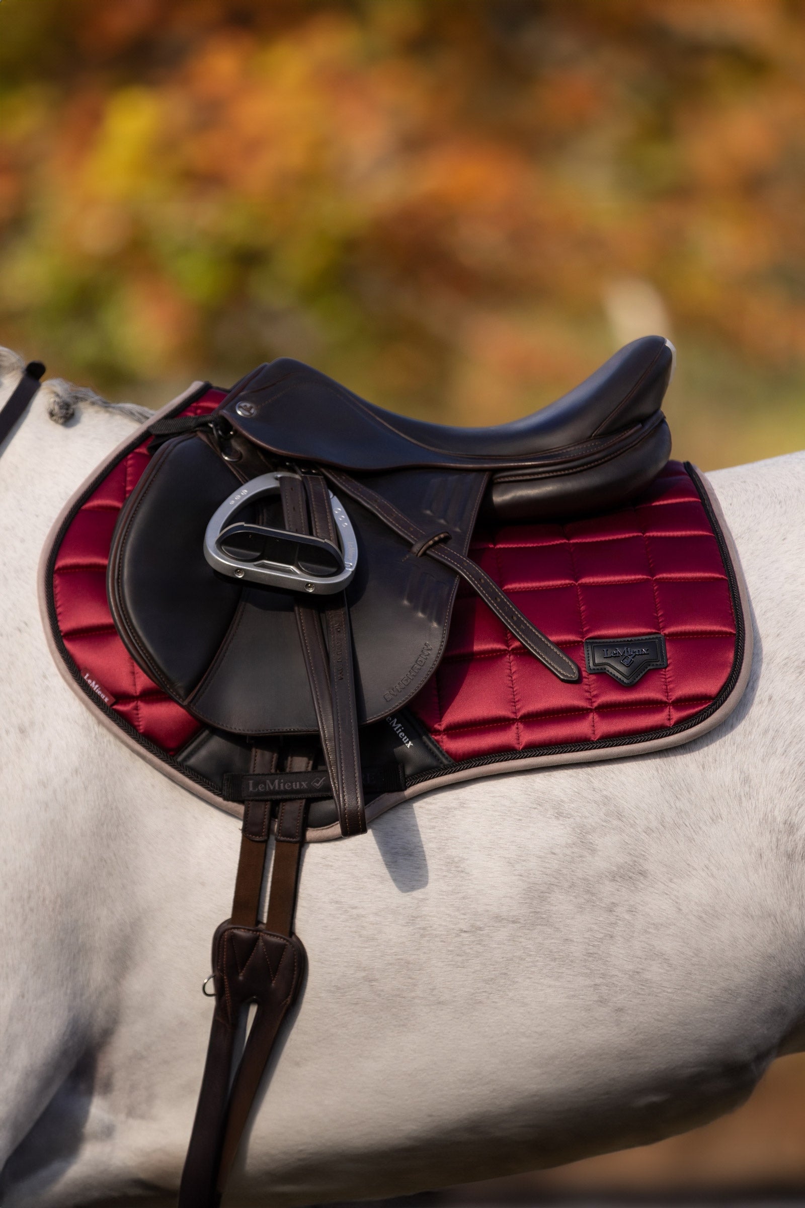 LeMieux Loire Classic Square Close Contact Saddle Pad Saddle Pads