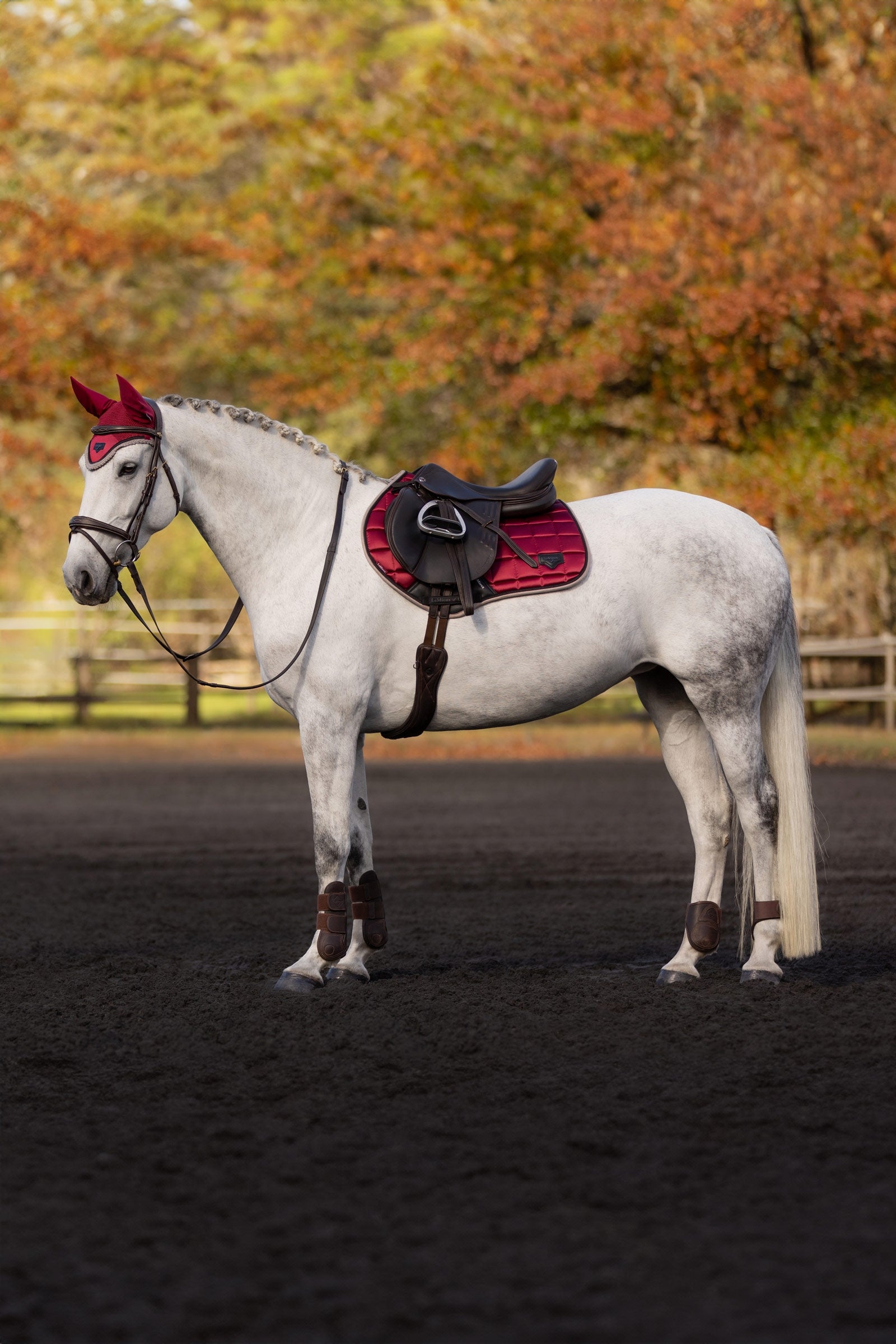 LeMieux Loire Classic Square Close Contact Saddle Pad Saddle Pads
