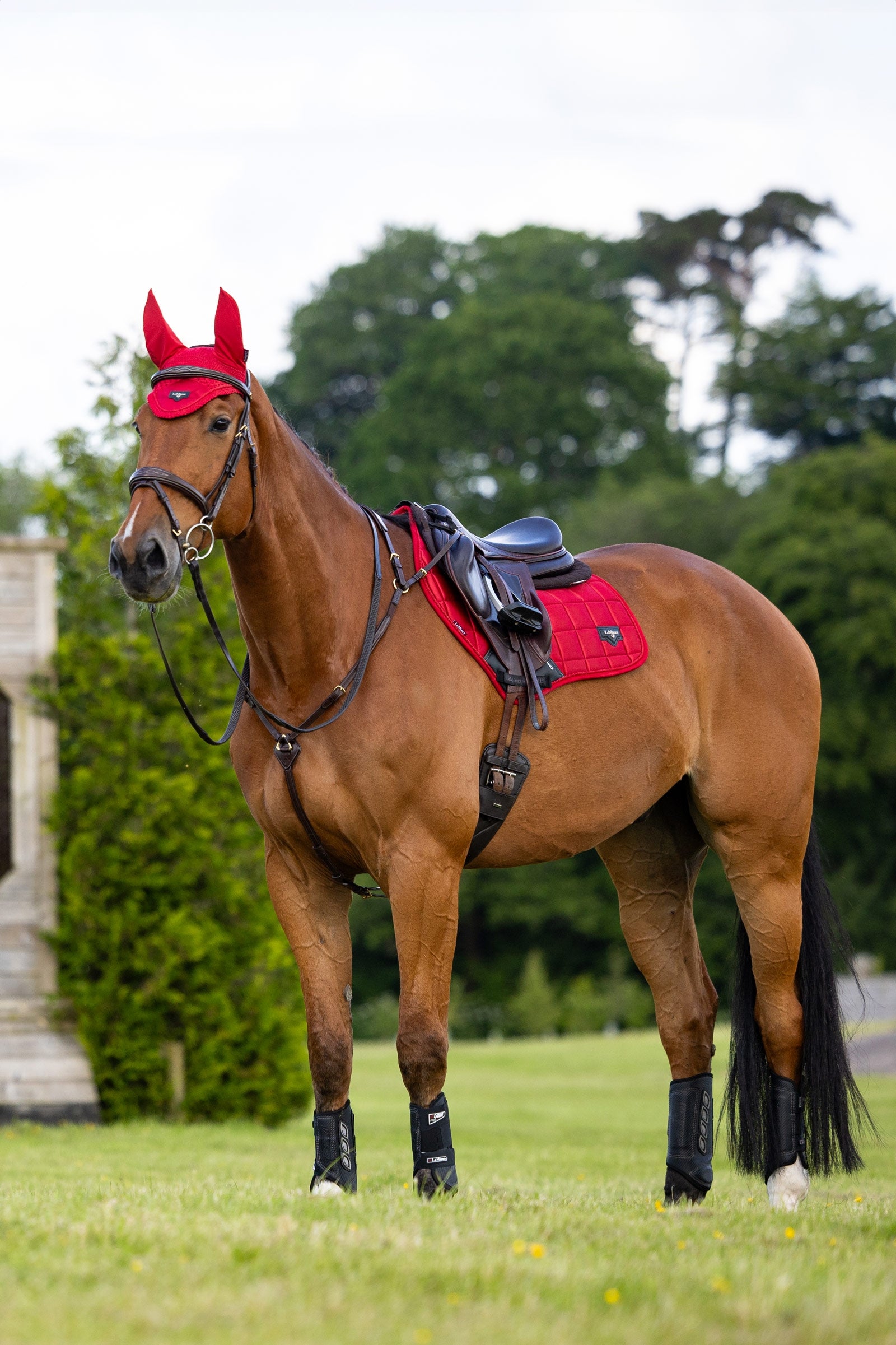 LeMieux Loire Classic Square Close Contact Saddle Pad Saddle Pads