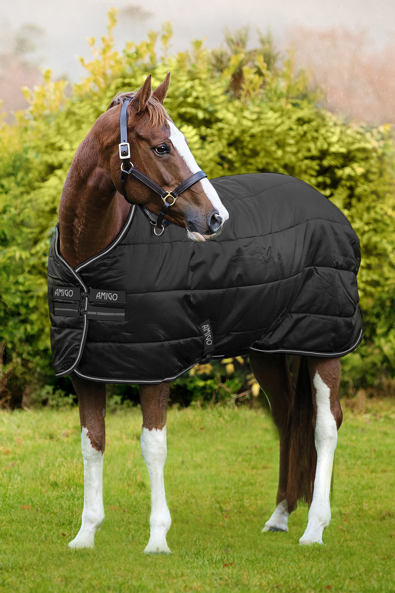 Horseware Amigo Ripstop Insulator Stable Rug, 200g Horse Rugs