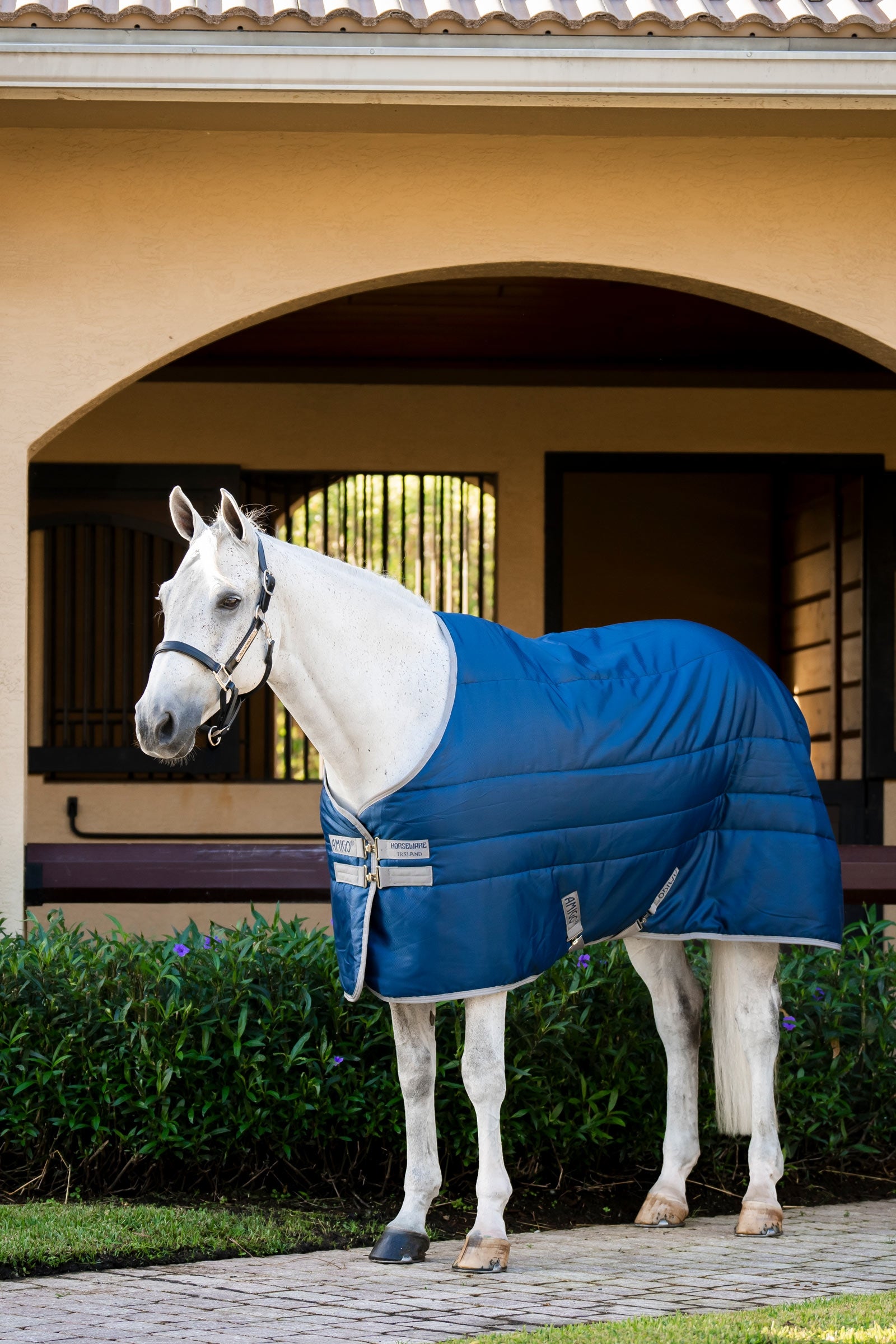 Horseware Amigo Ripstop Insulator talliloimi, 200g Loimet