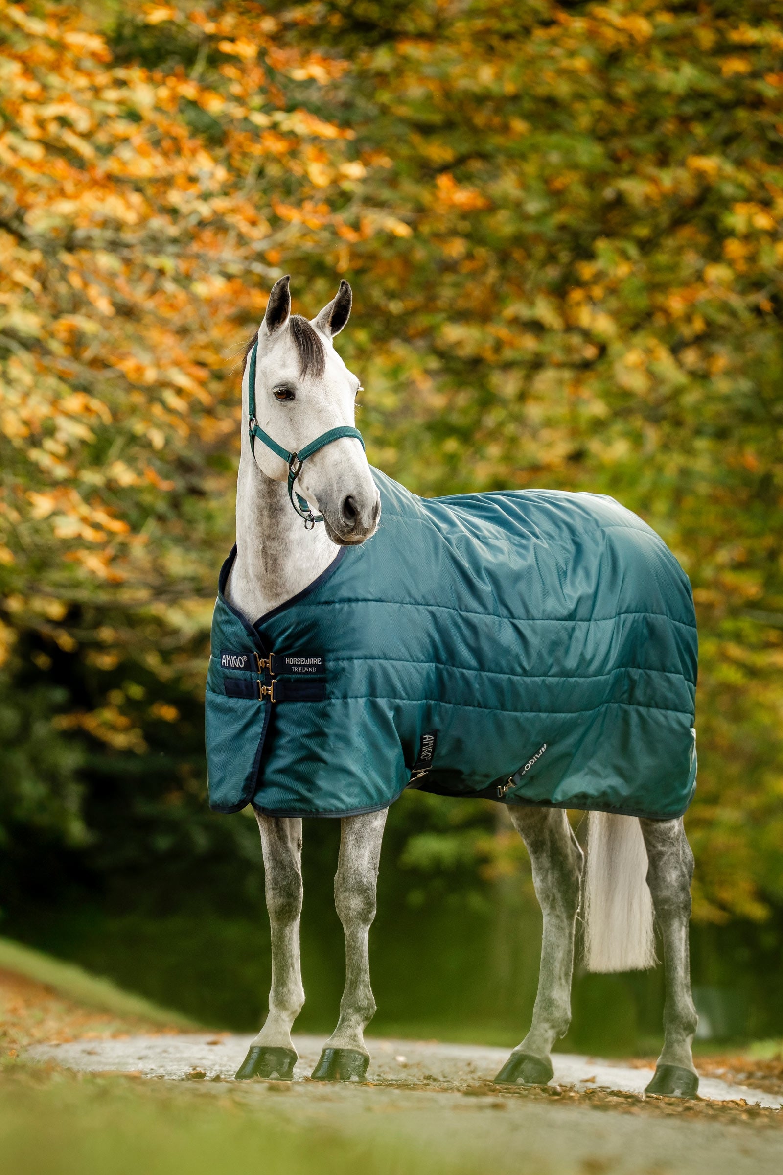 Horseware Amigo Ripstop Insulator talliloimi, 200g Loimet