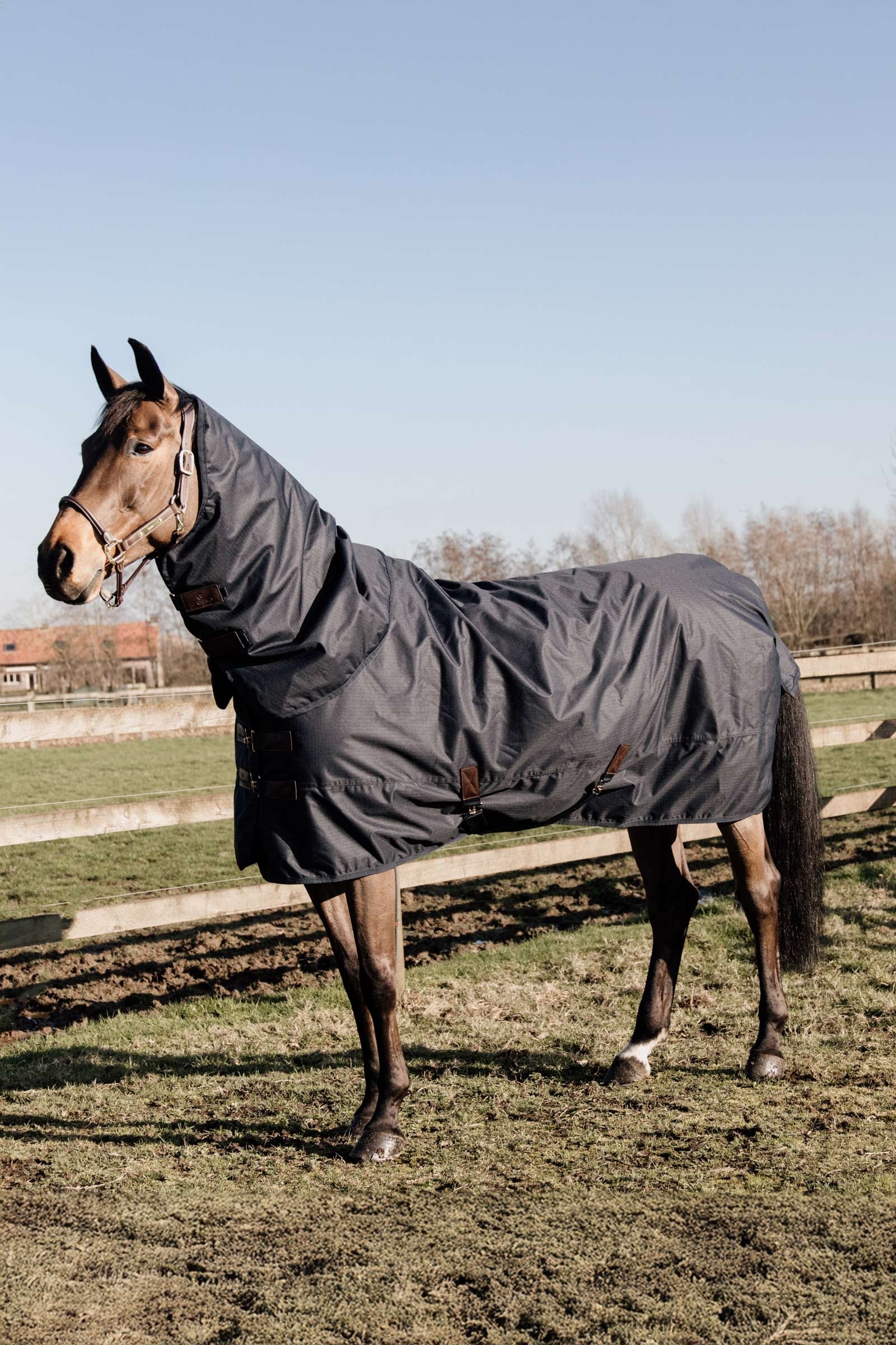 Kentucky Horsewear Pony All Weather Classic Turnout Rug, 150g Horse Rugs