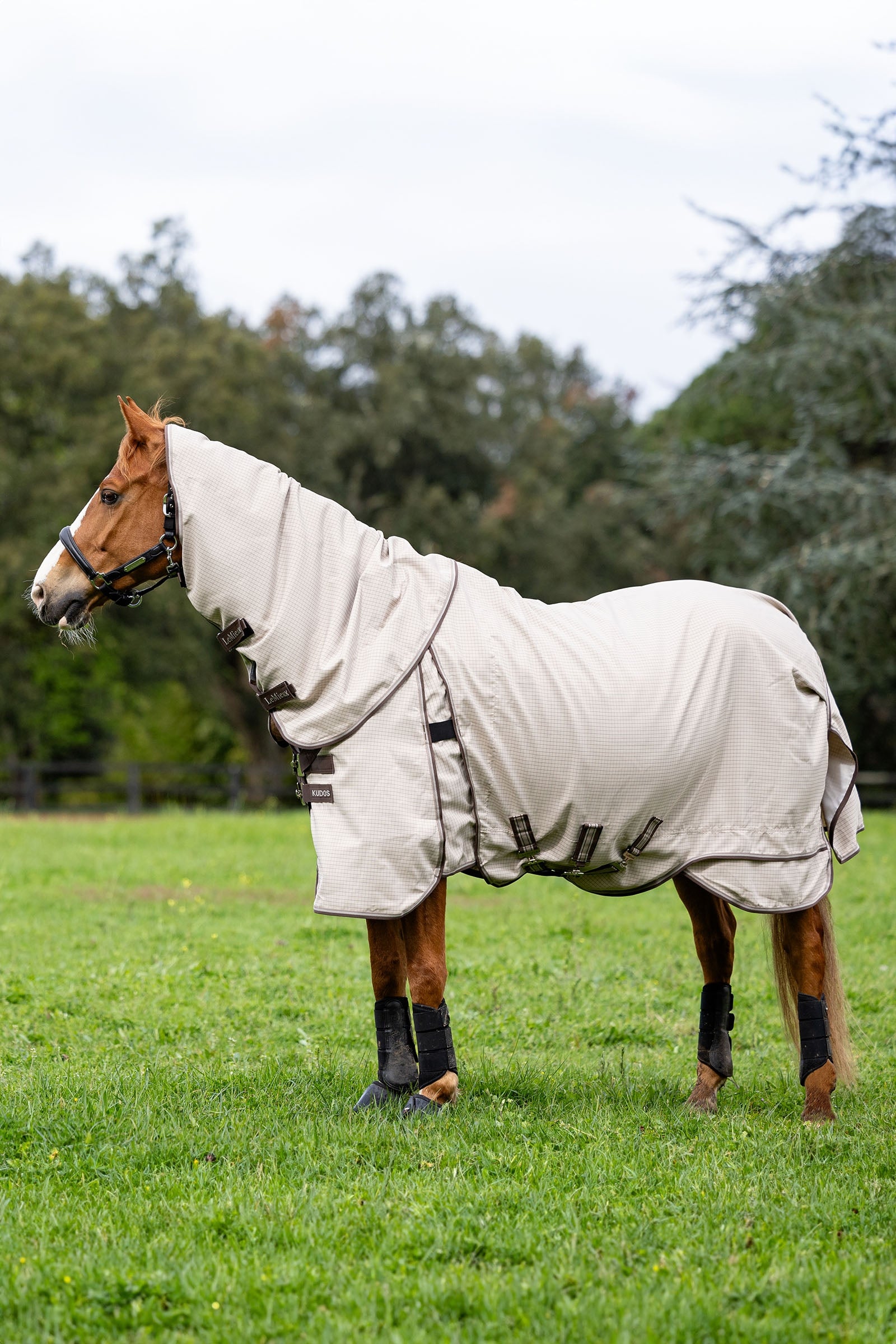 LeMieux Kudos ulkoloimi Loimet