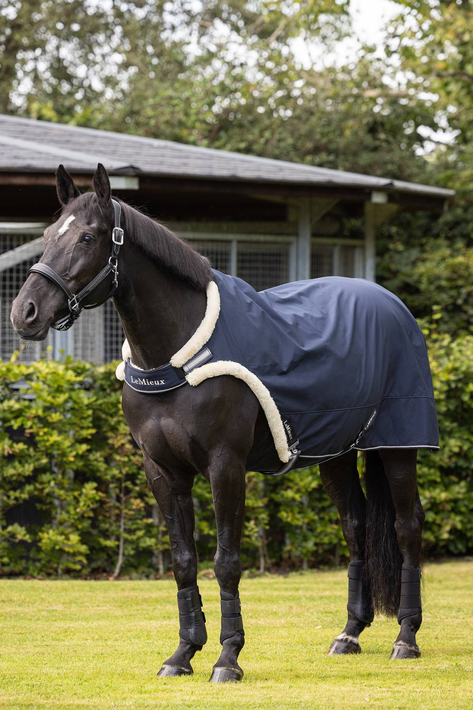 LeMieux Taluttamispeite Loimet