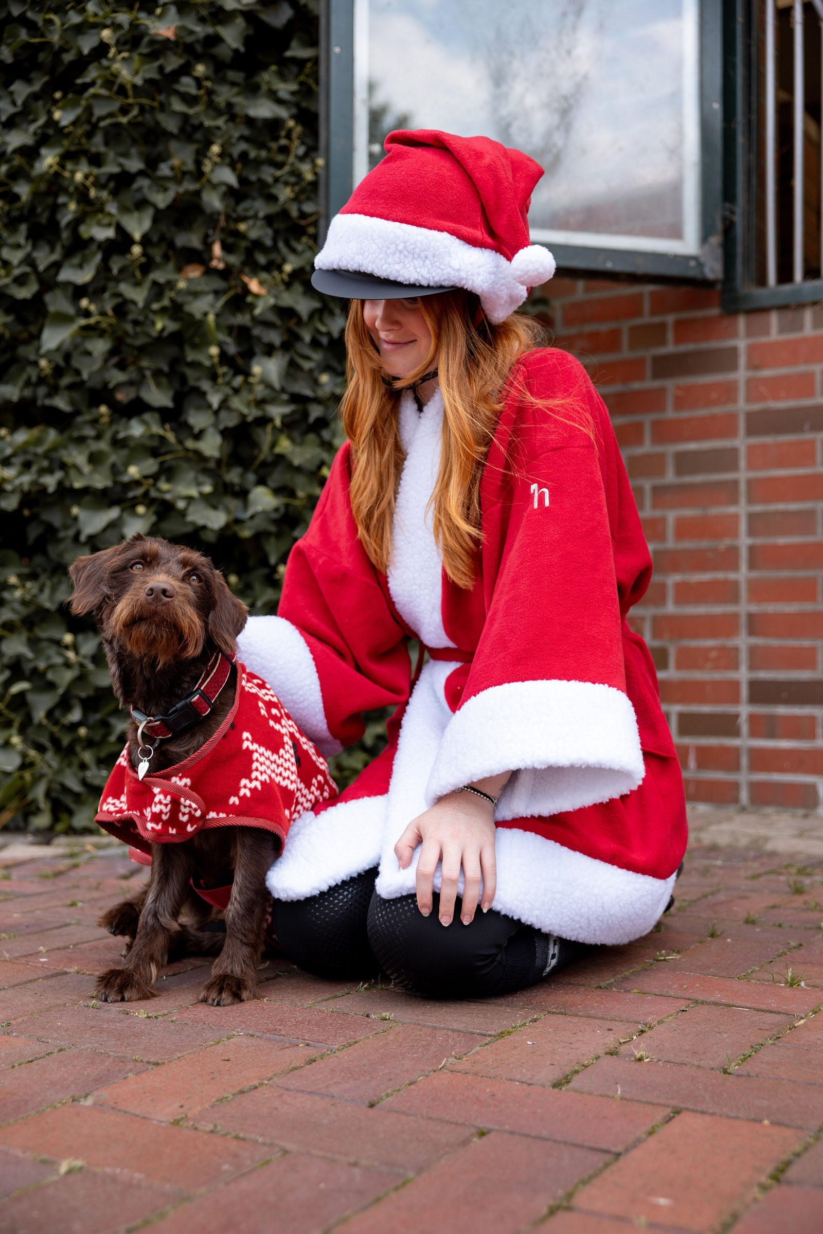 Horze Christmas dog sweater Dog Accesories