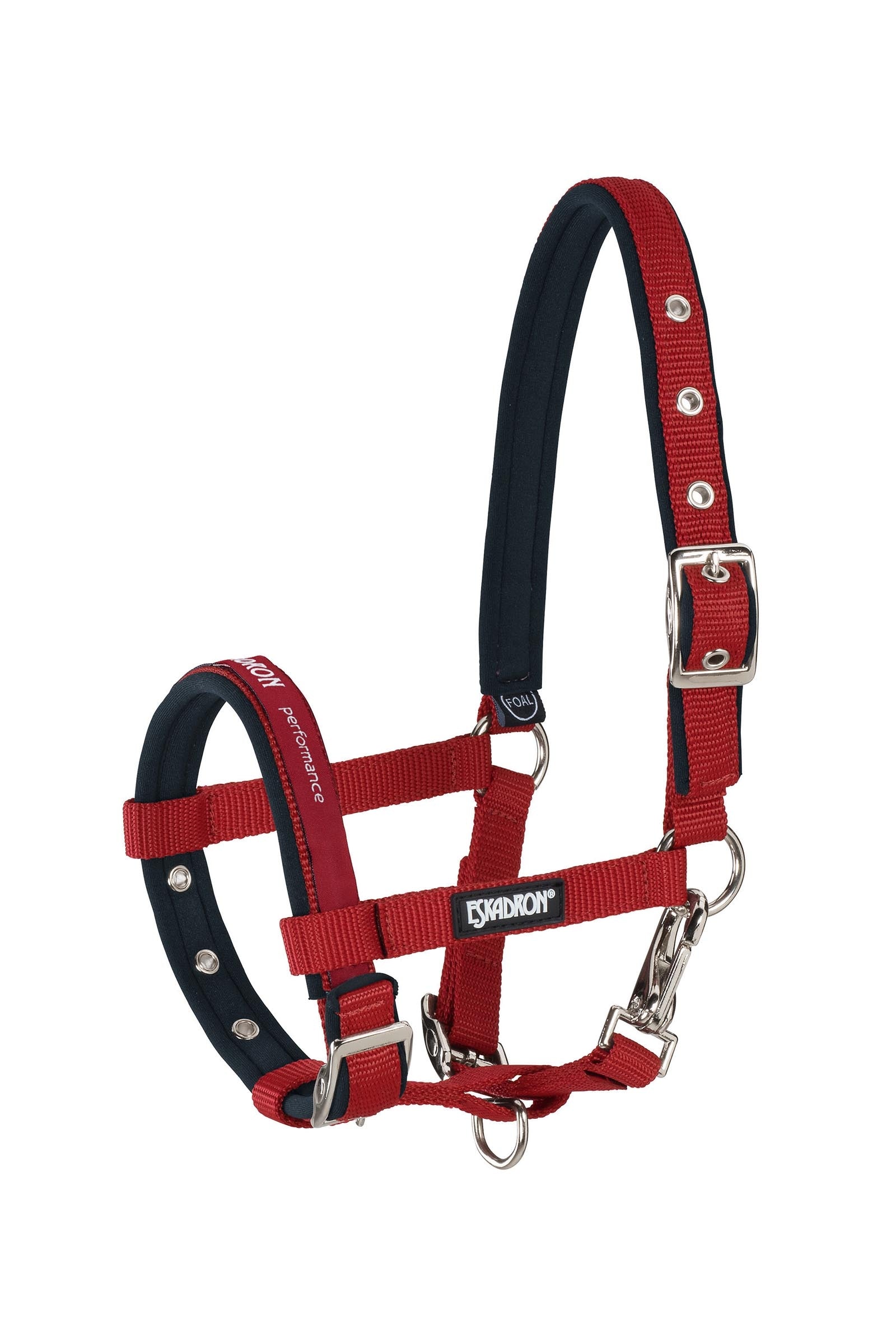 Eskadron Foal Halter Riimut & riimunnarut