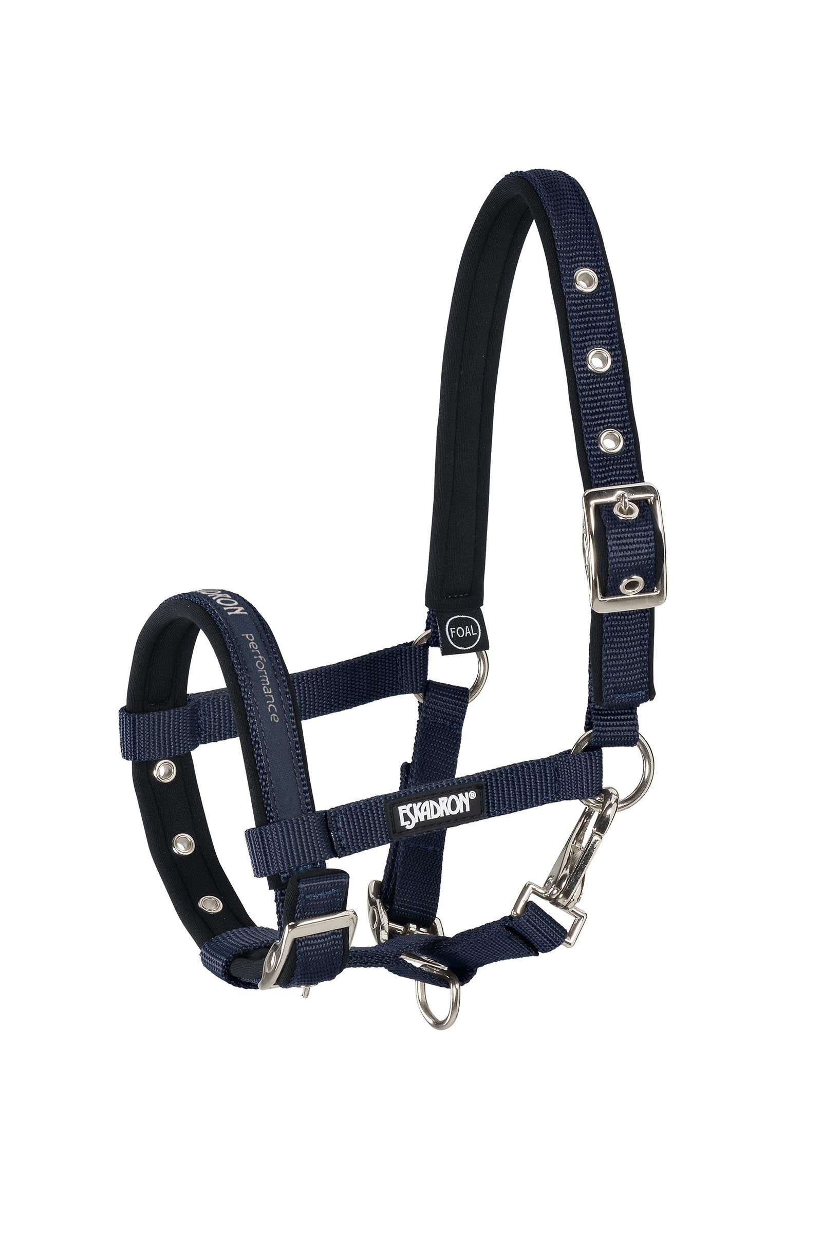 Eskadron Foal Halter Riimut & riimunnarut