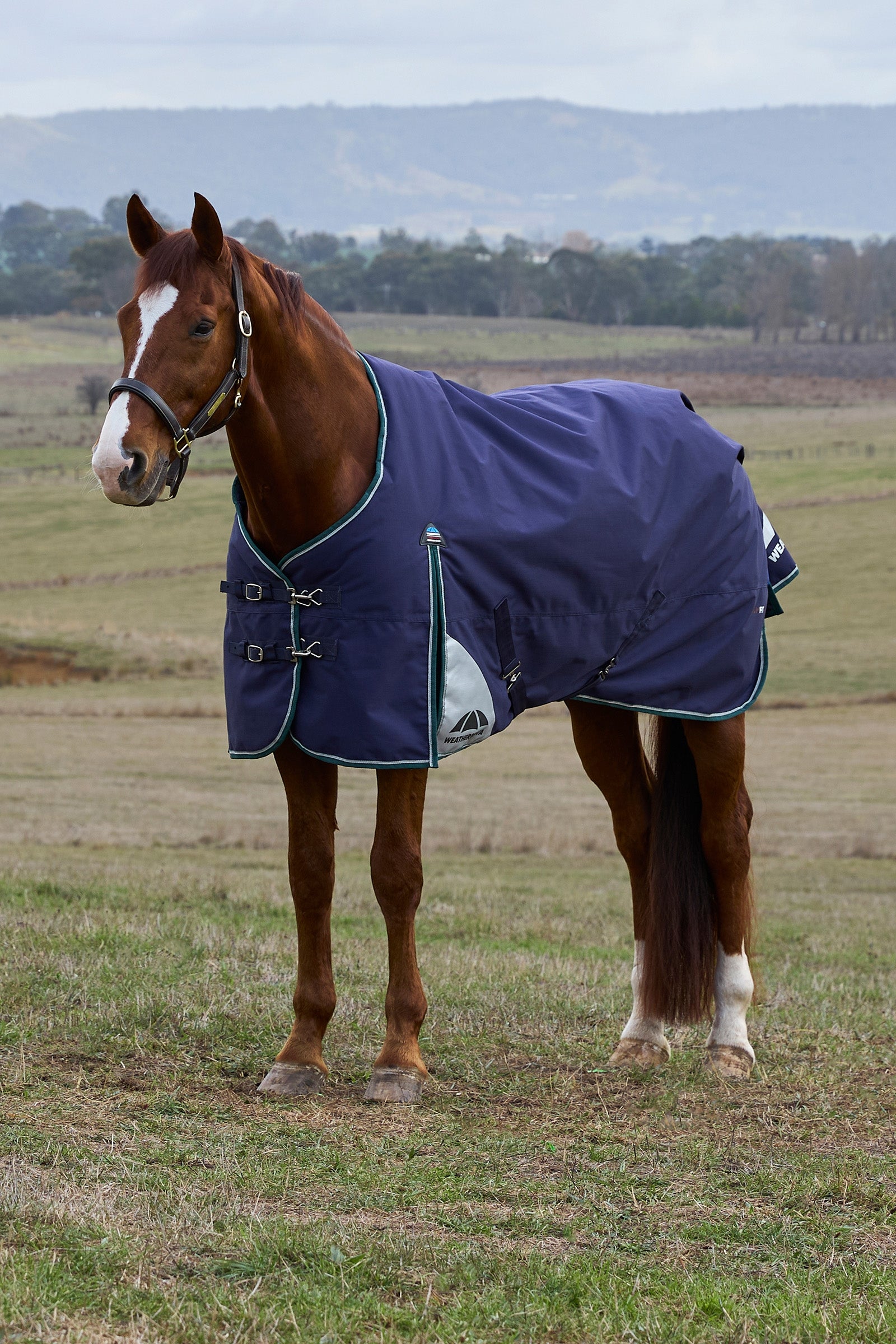 Weatherbeeta ComFiTecPlus Dynamic Turnout Detach-A-Neck 100G Loimet