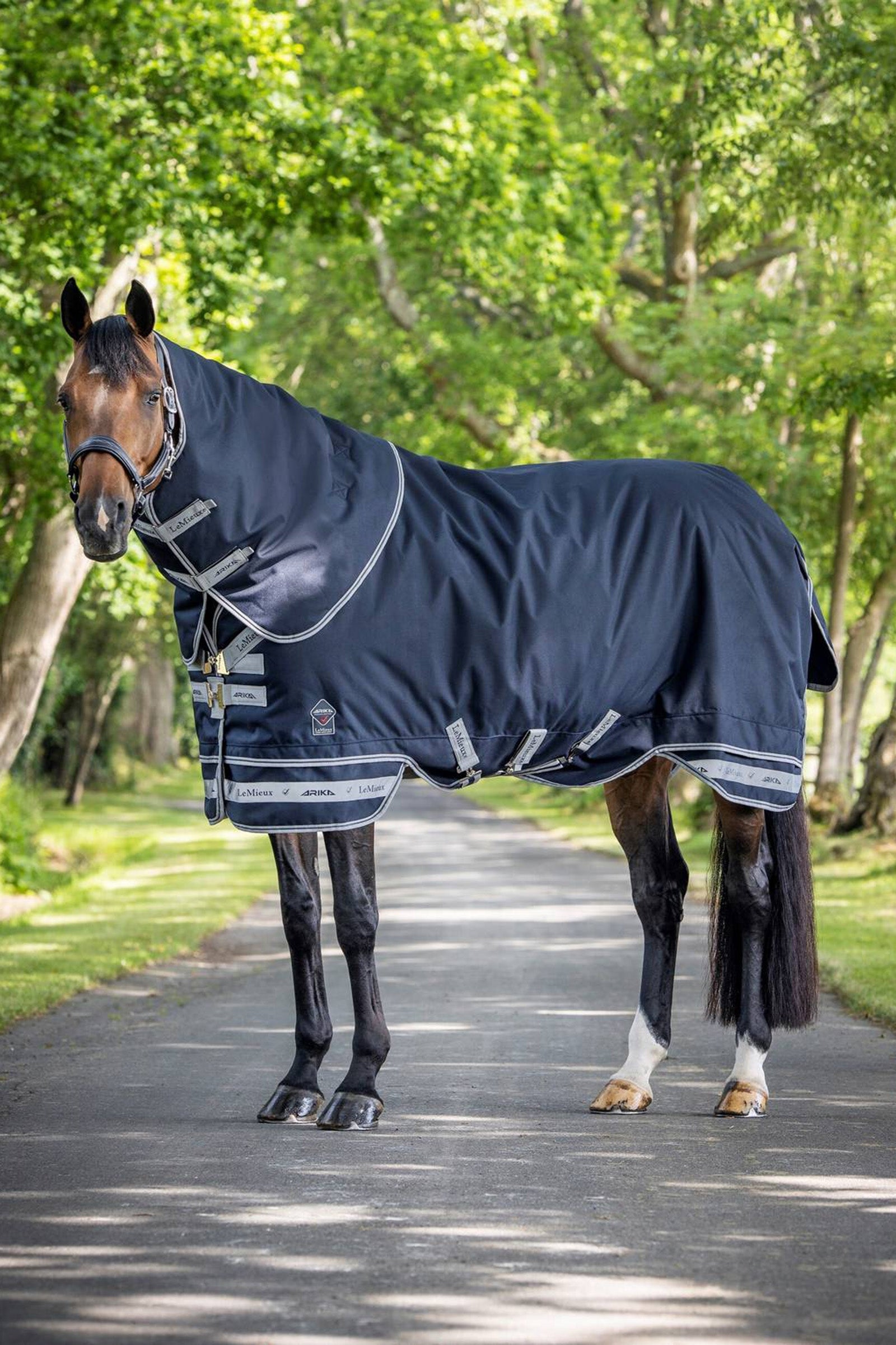 LeMieux Arika Storm-Tek Lightweight Turnout Rug, 100g Loimet