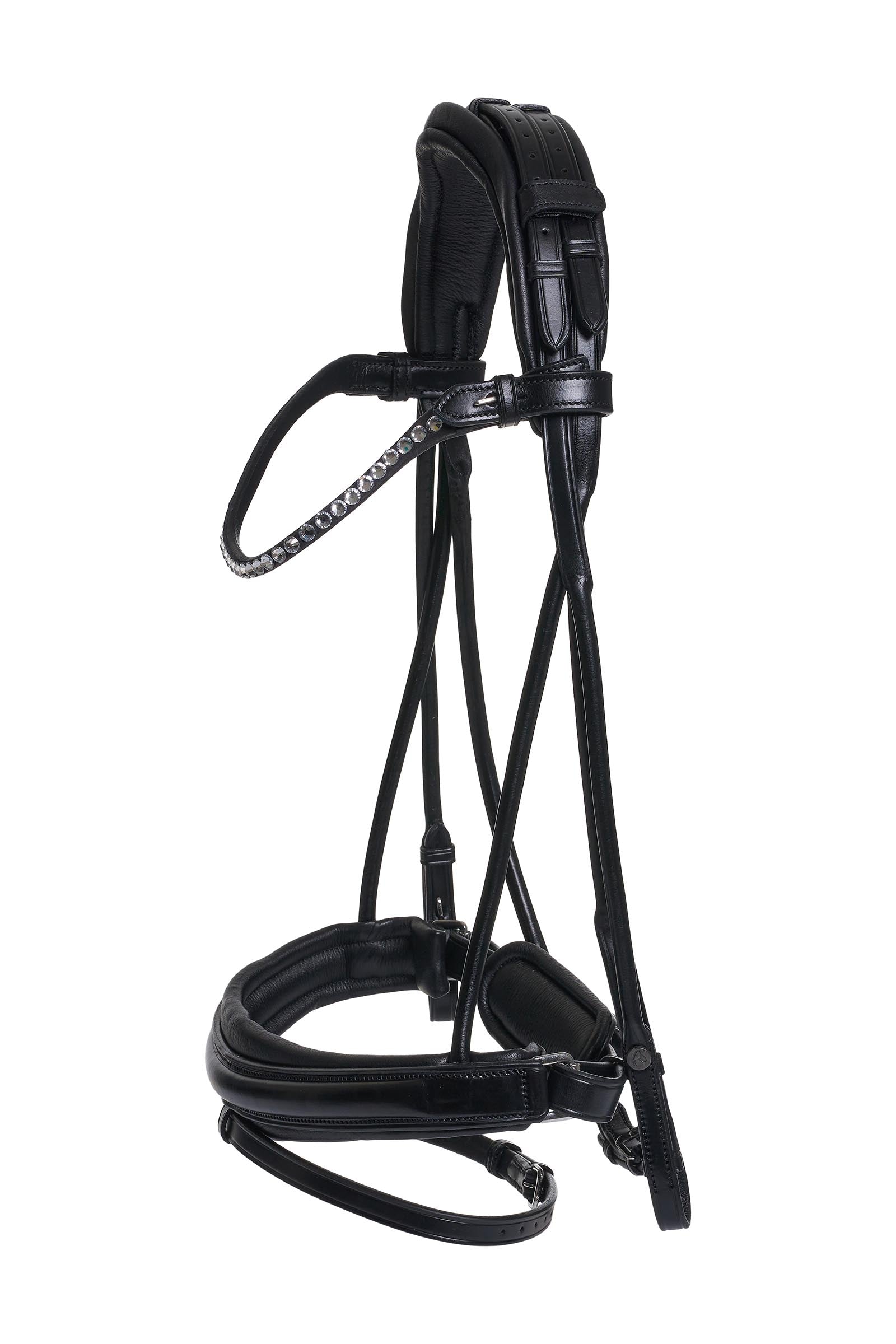 Catago Shay Round Stitched Bridle With Flash Suitset & Ohjat