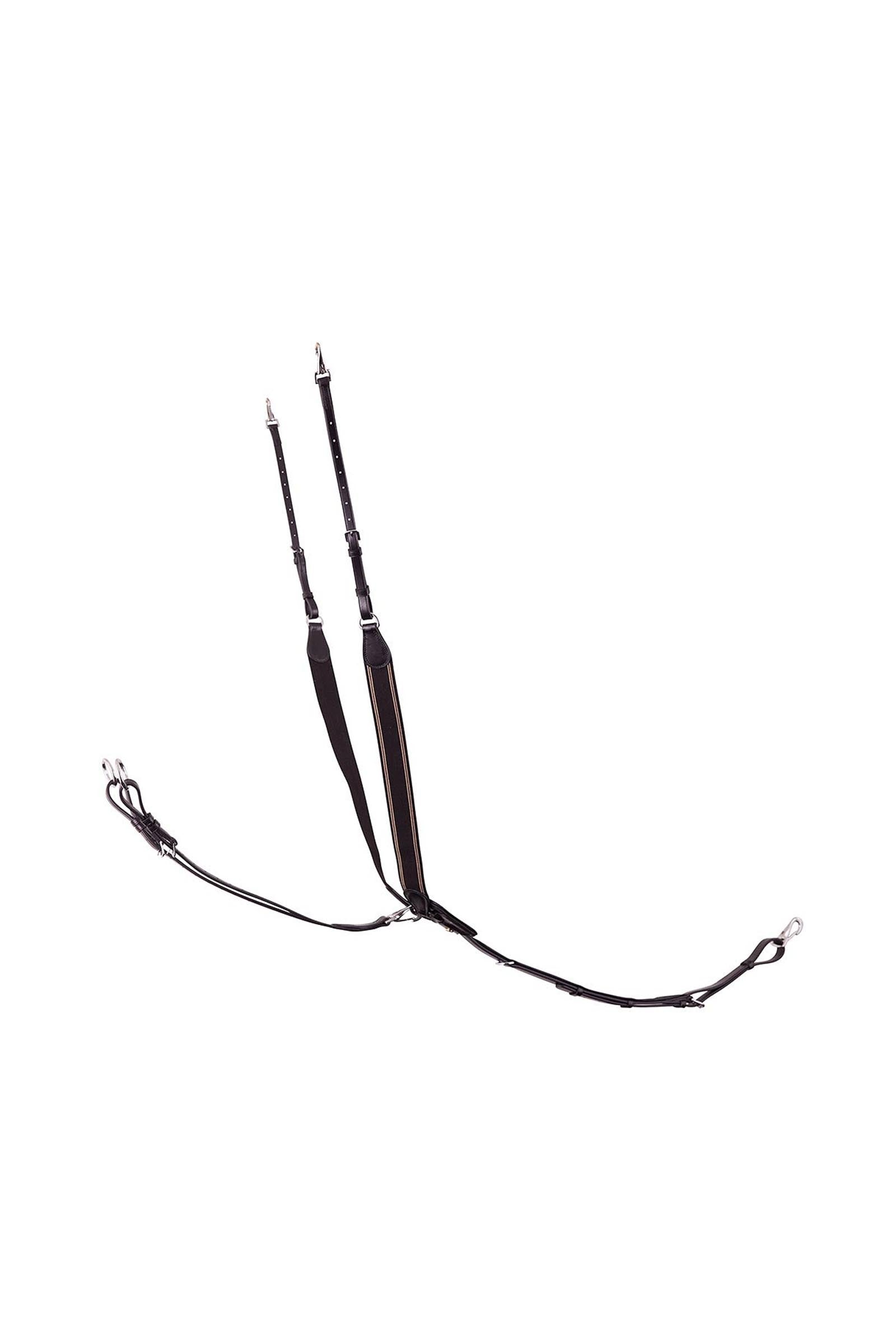 BR Taunton joustava rintaremmi irrotettavalla martingaalilla Suitset & Ohjat