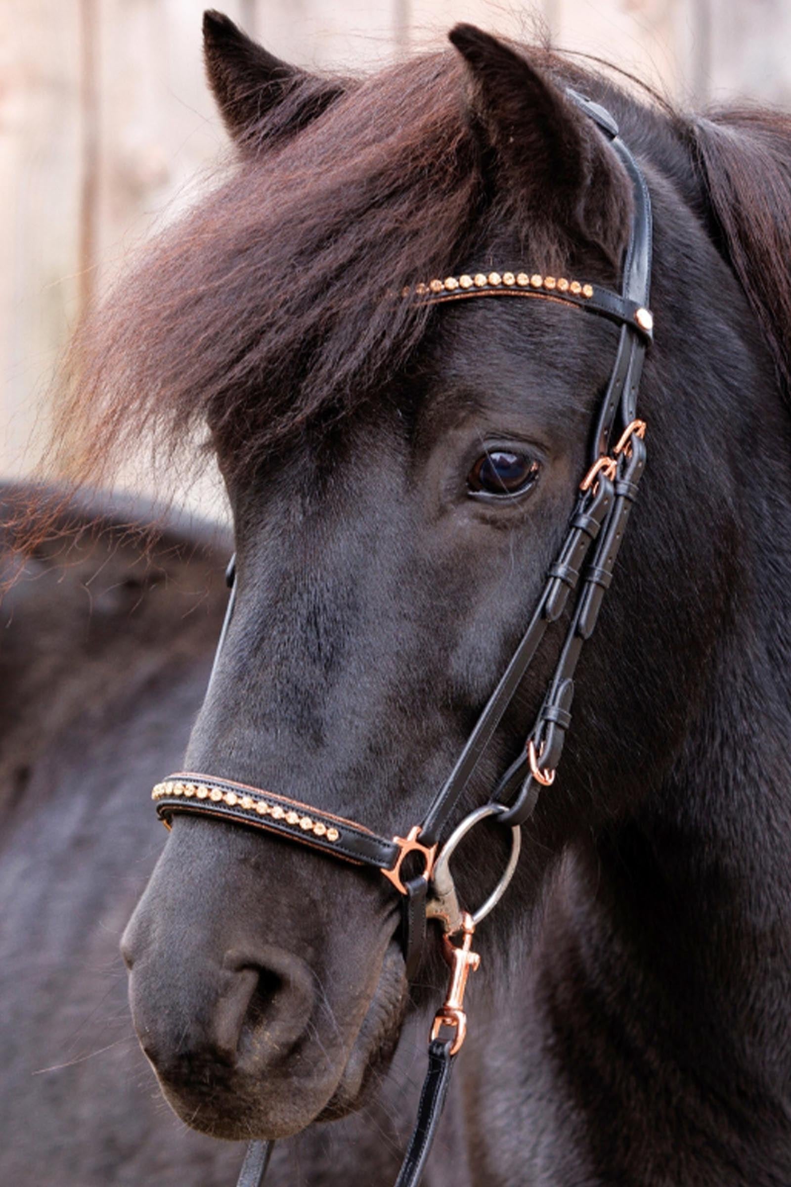 Kavalkade Freya Icelandic Bridle Bridles & Reins