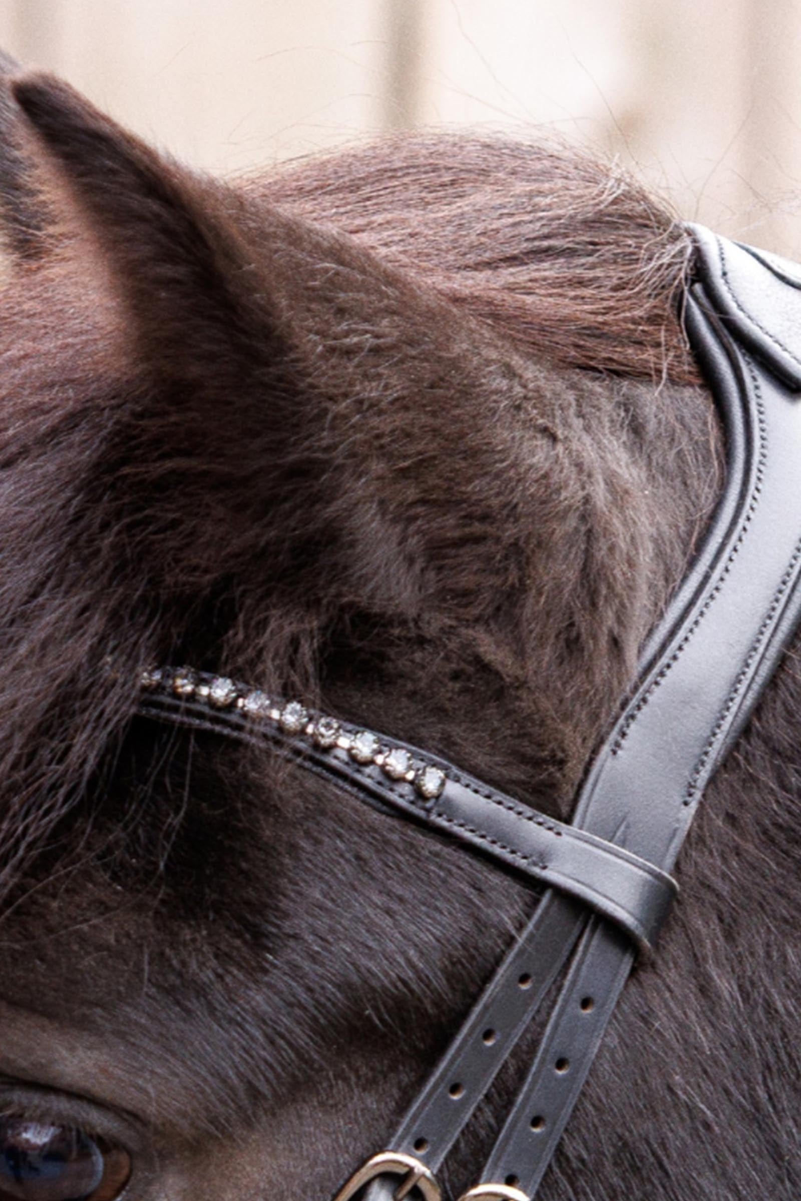 Kavalkade Freya Icelandic Bridle Bridles & Reins