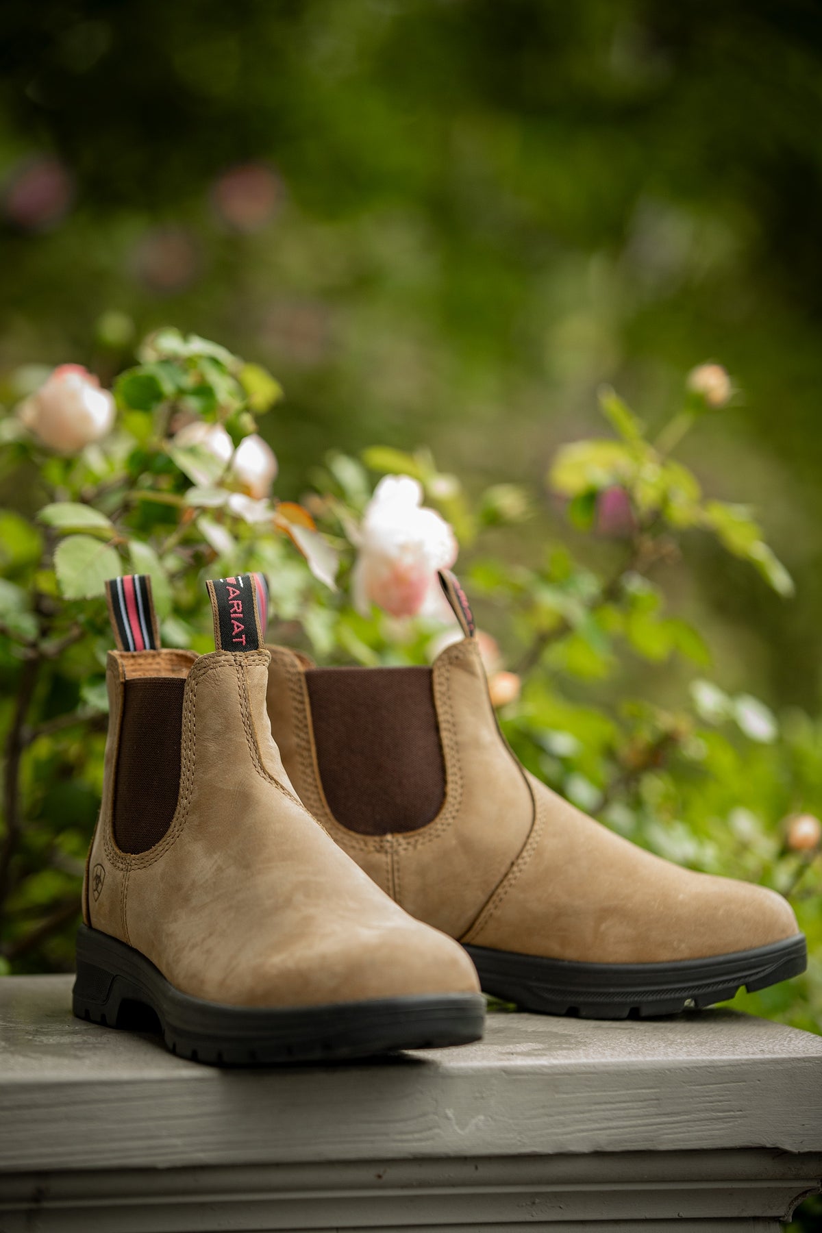 Ariat Women's Cooper Chelsea Boot Riding Boots & Riding Shoes