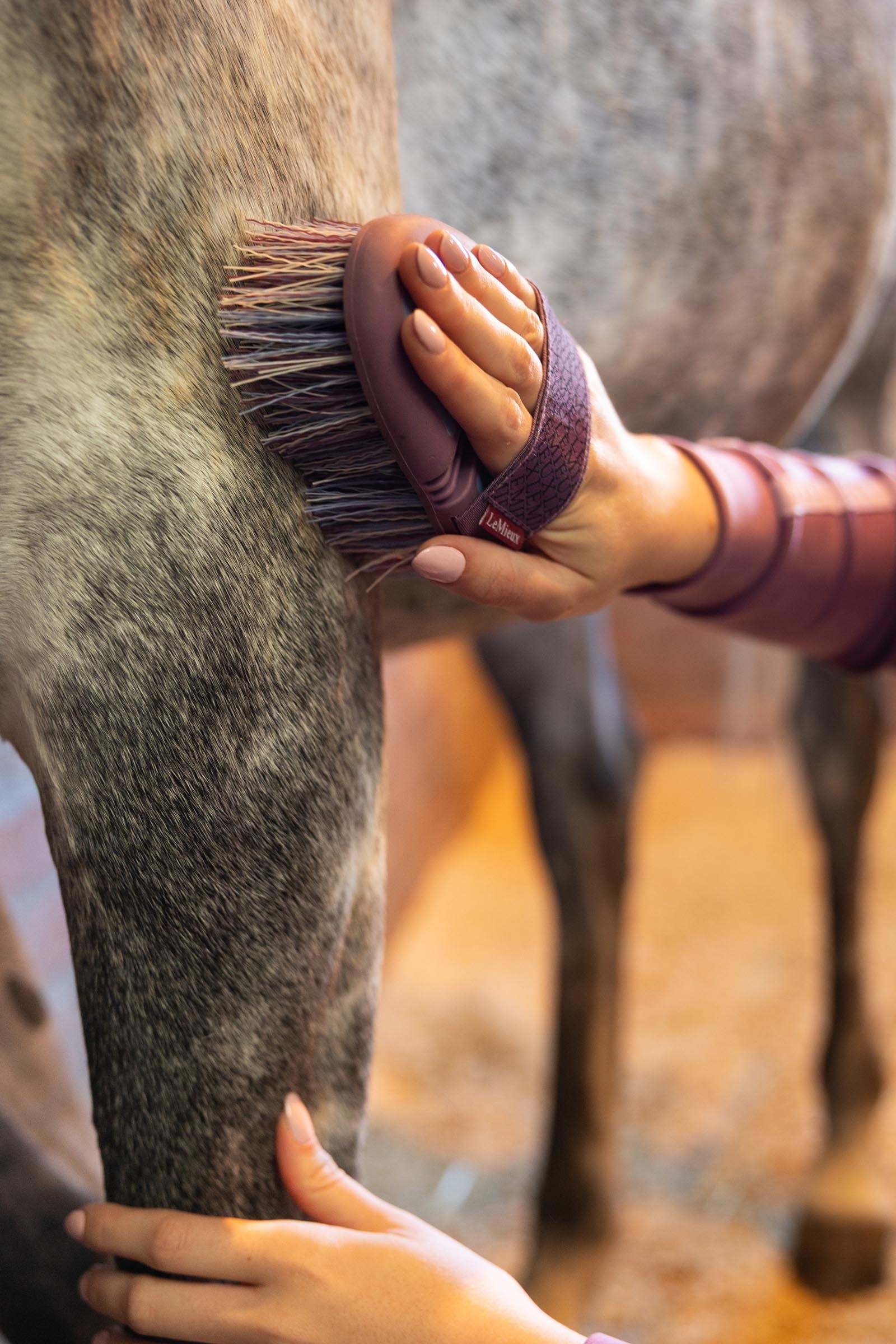 LeMieux Flexi Flicky Brush Horse Grooming Tools